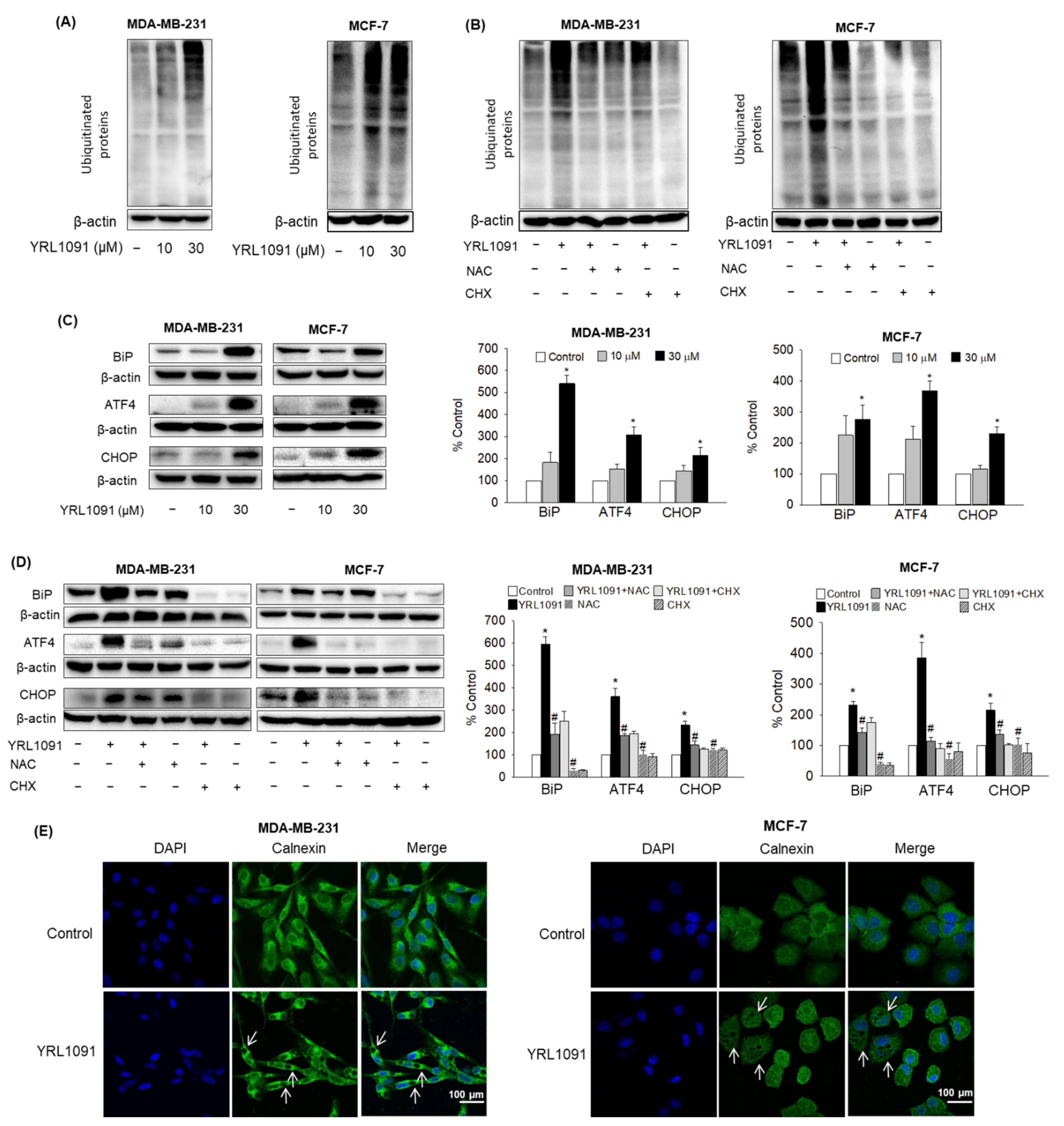 Antioxidants 11 00117 g010 550