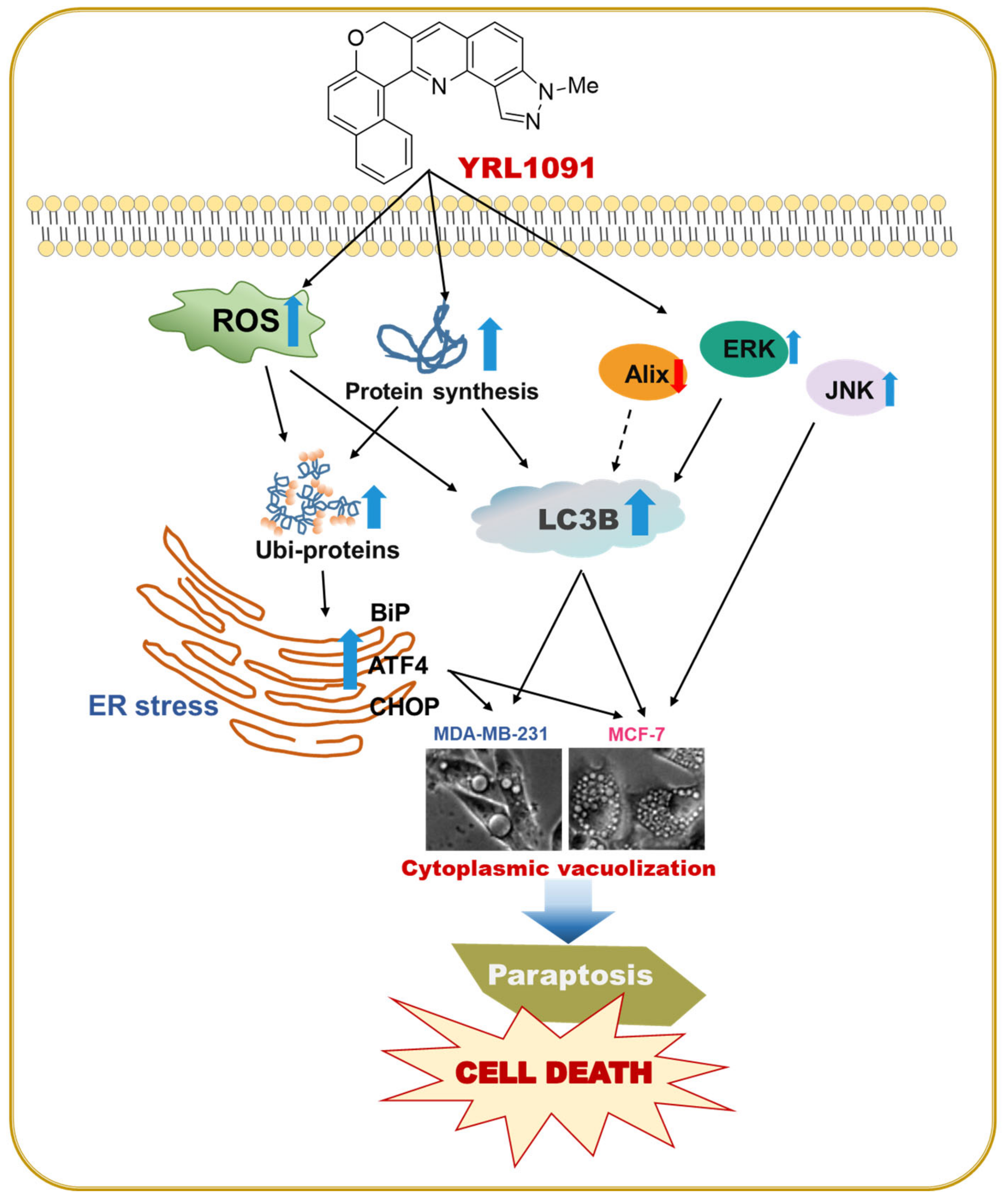 Antioxidants 11 00117 g011 550