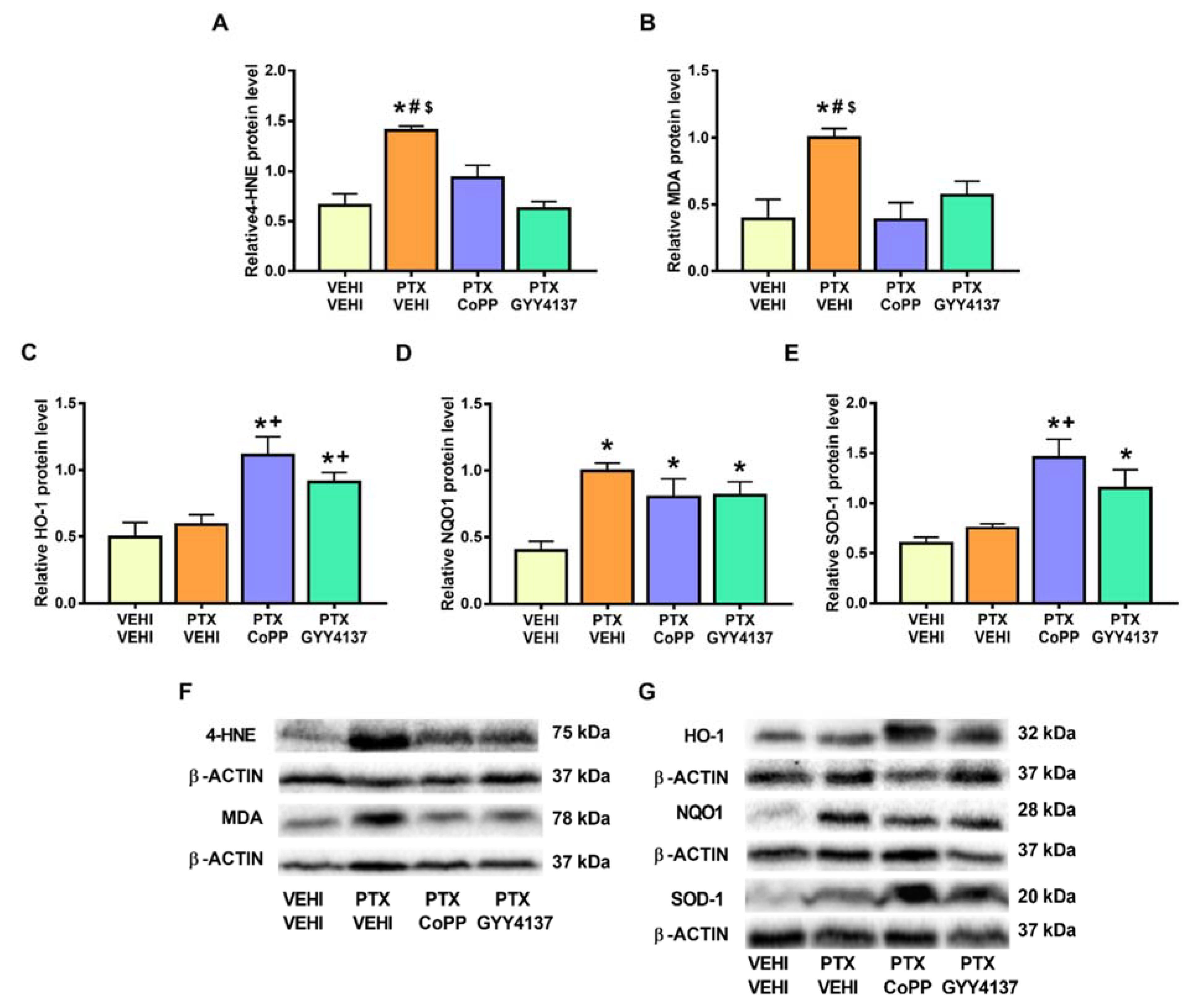 Antioxidants 11 00122 g009