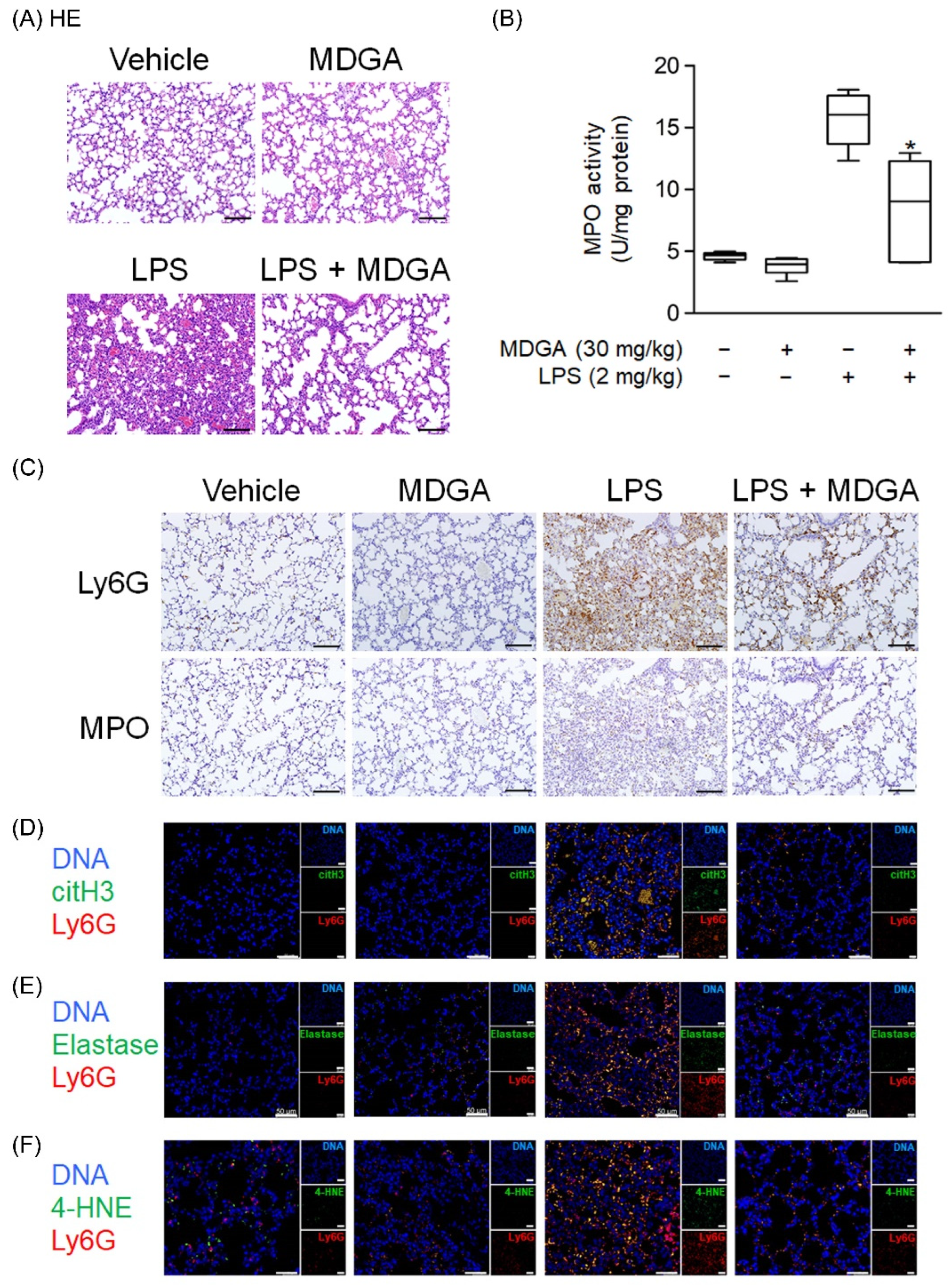 Antioxidants 11 00123 g008 550