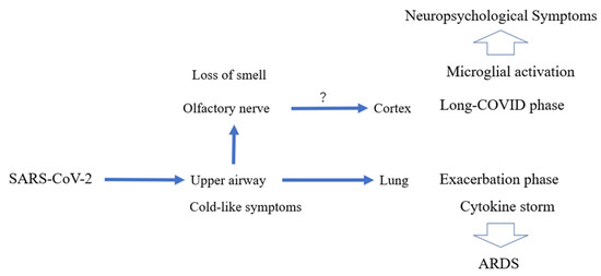 Antioxidants 11 00124 g006 550