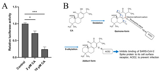 Antioxidants 11 00124 g008 550