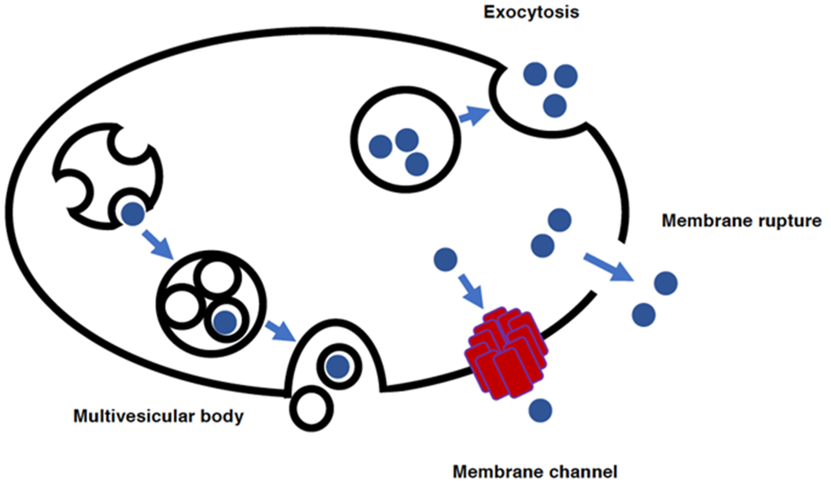 Antioxidants 11 00126 g004 Antioxidants 11 00126 g004