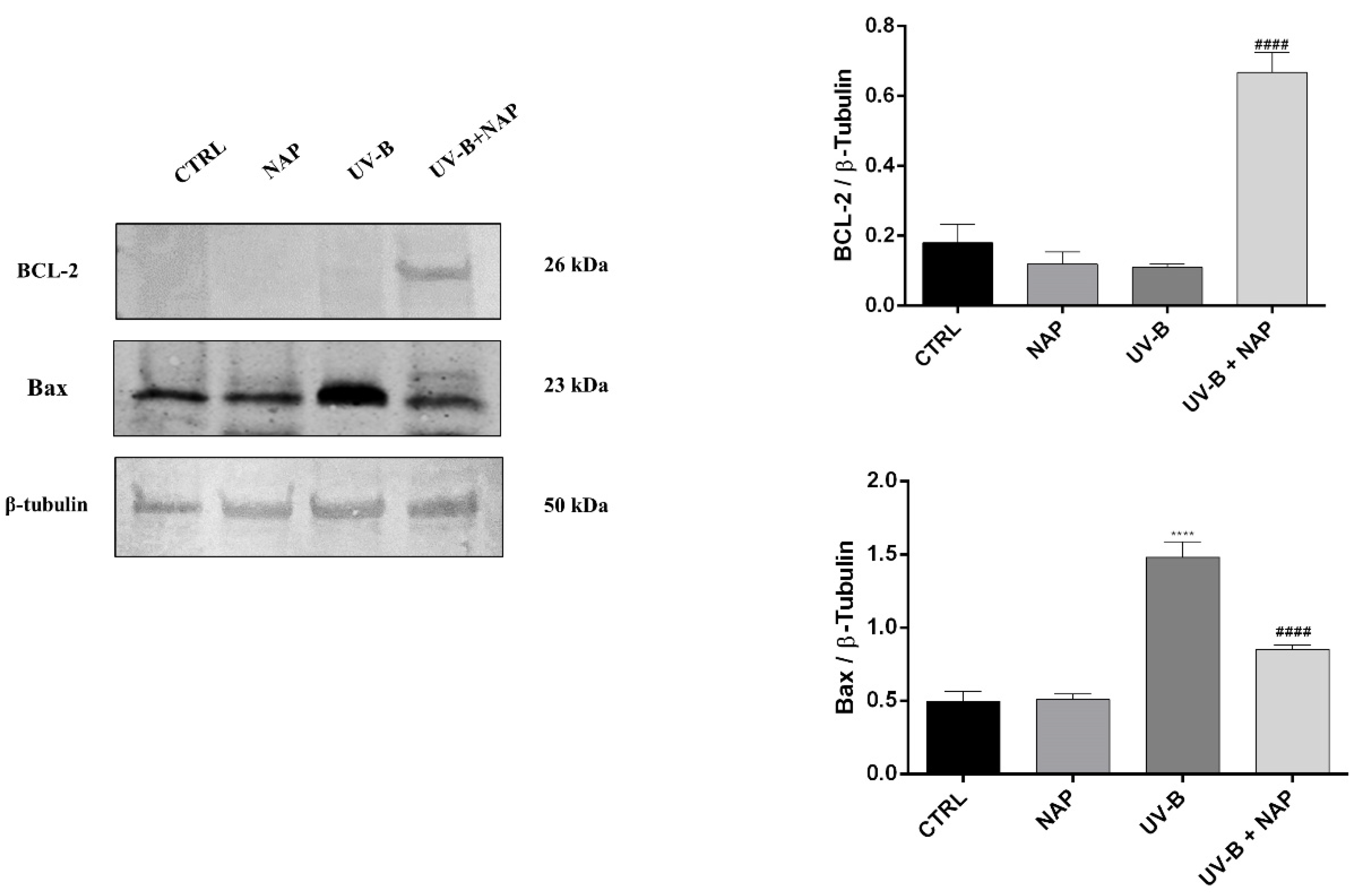 Antioxidants 11 00128 g005