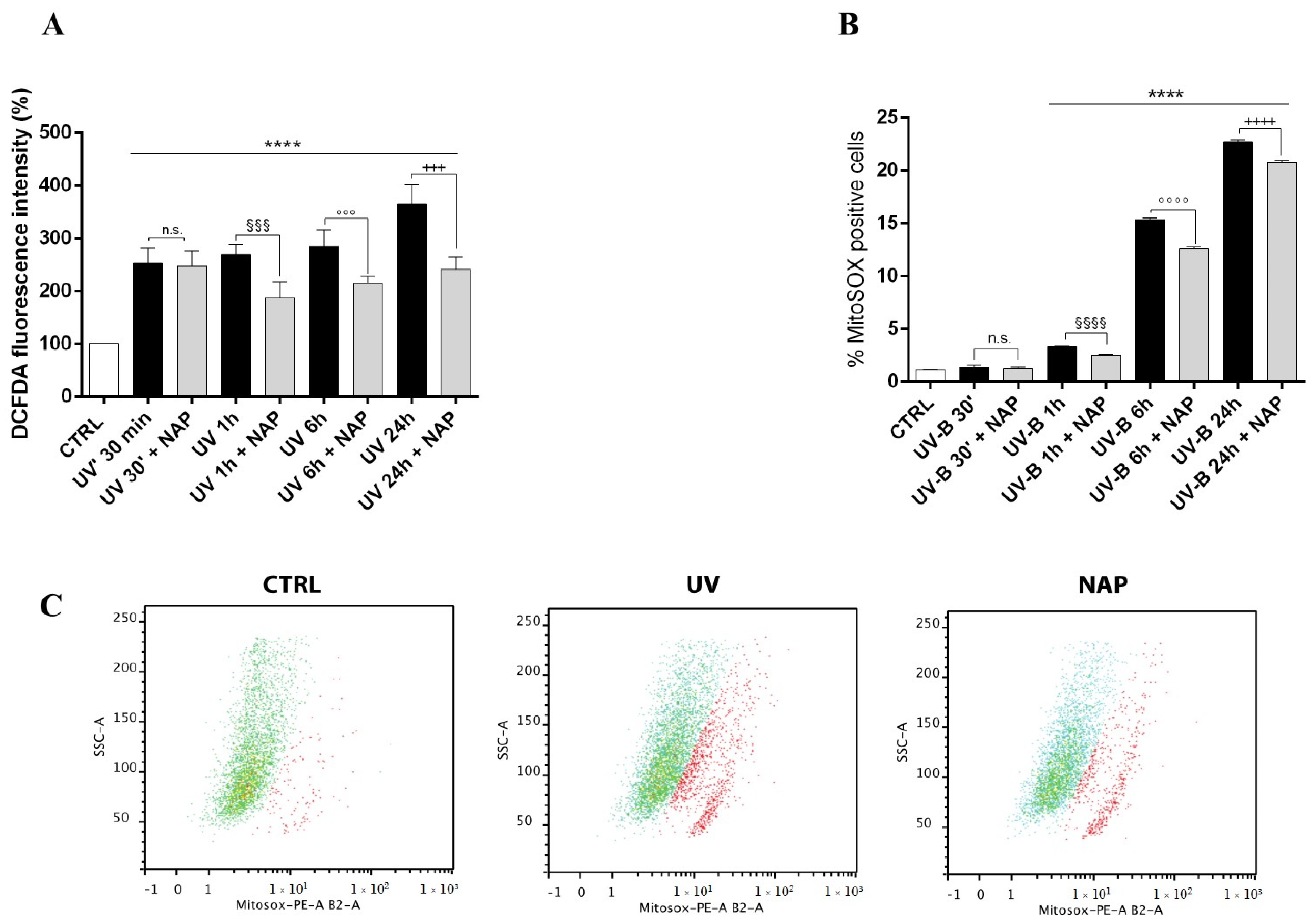 Antioxidants 11 00128 g006