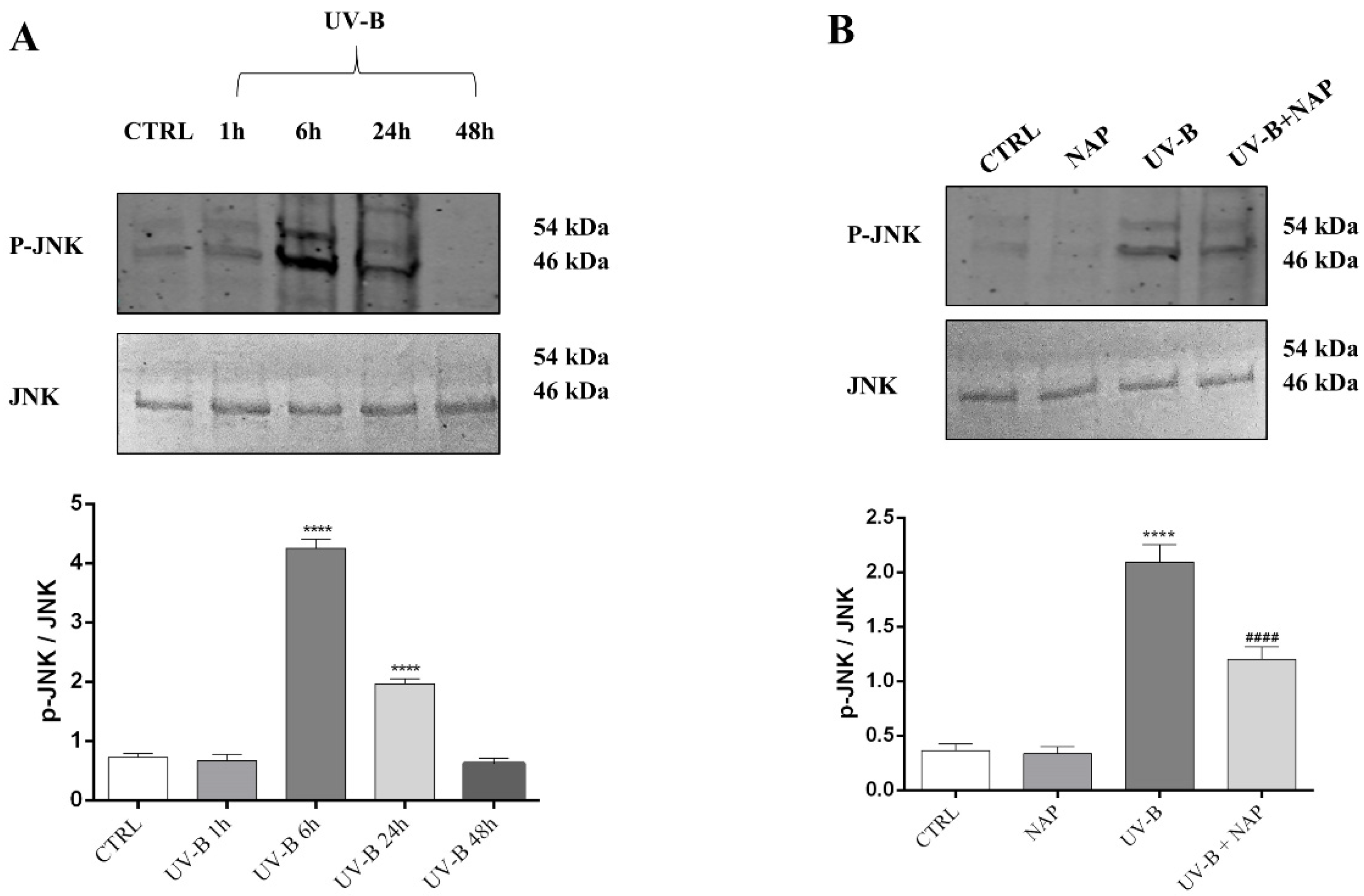 Antioxidants 11 00128 g007