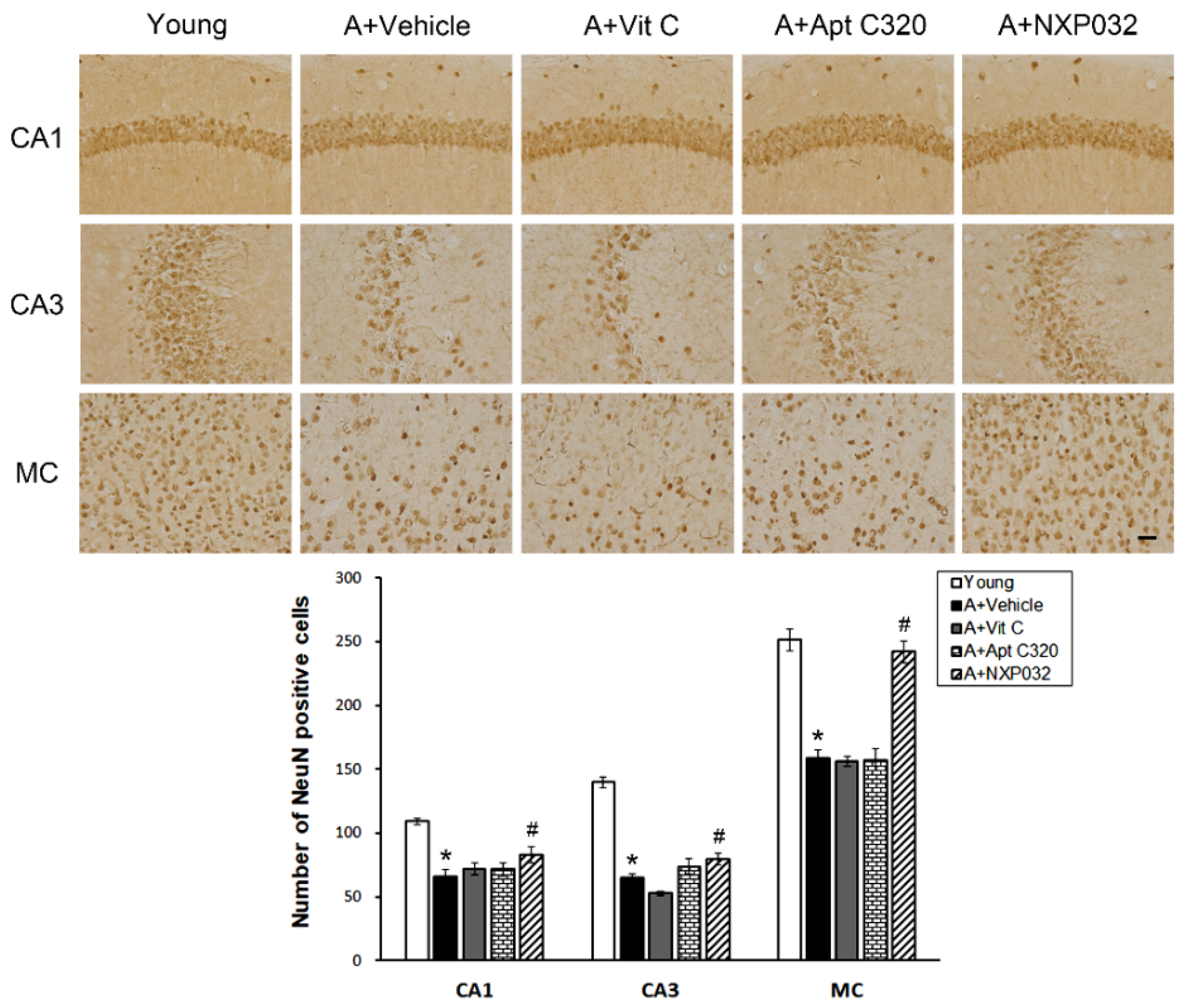Antioxidants 11 00130 g002 550