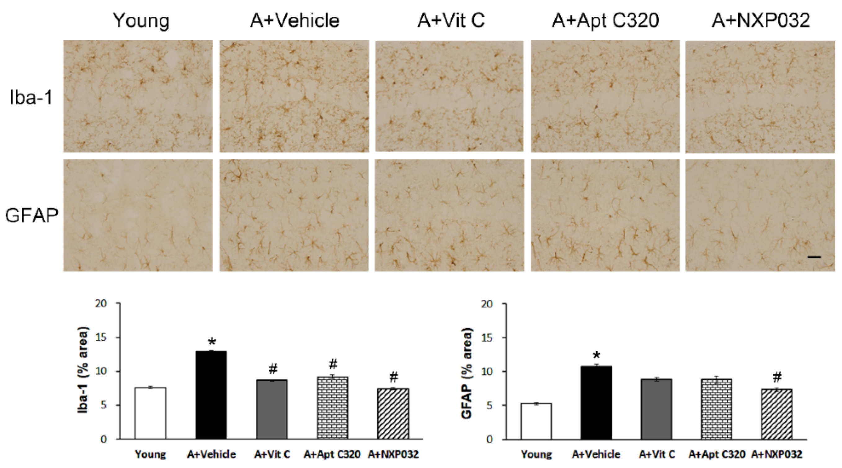 Antioxidants 11 00130 g003 550