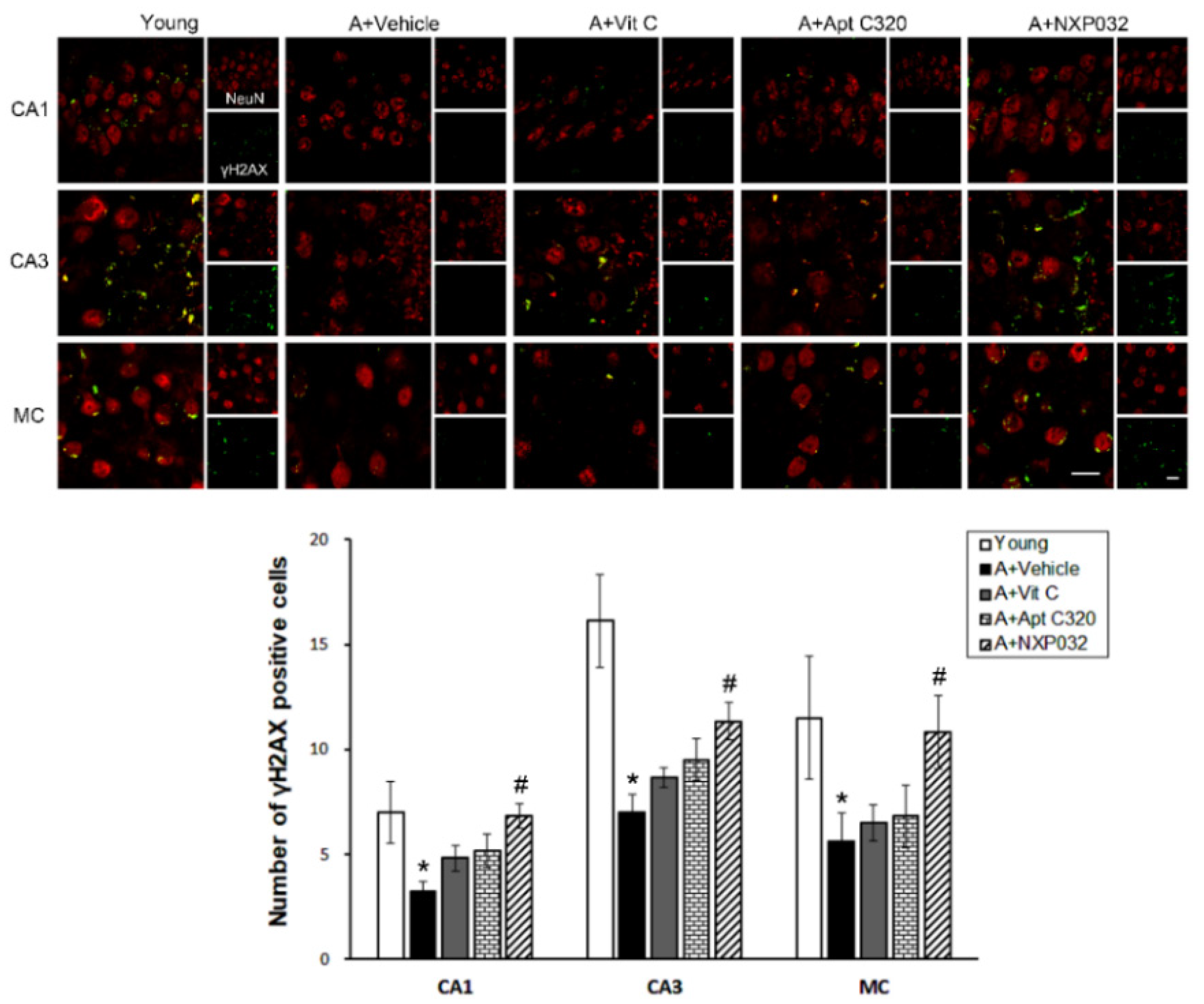 Antioxidants 11 00130 g006 550