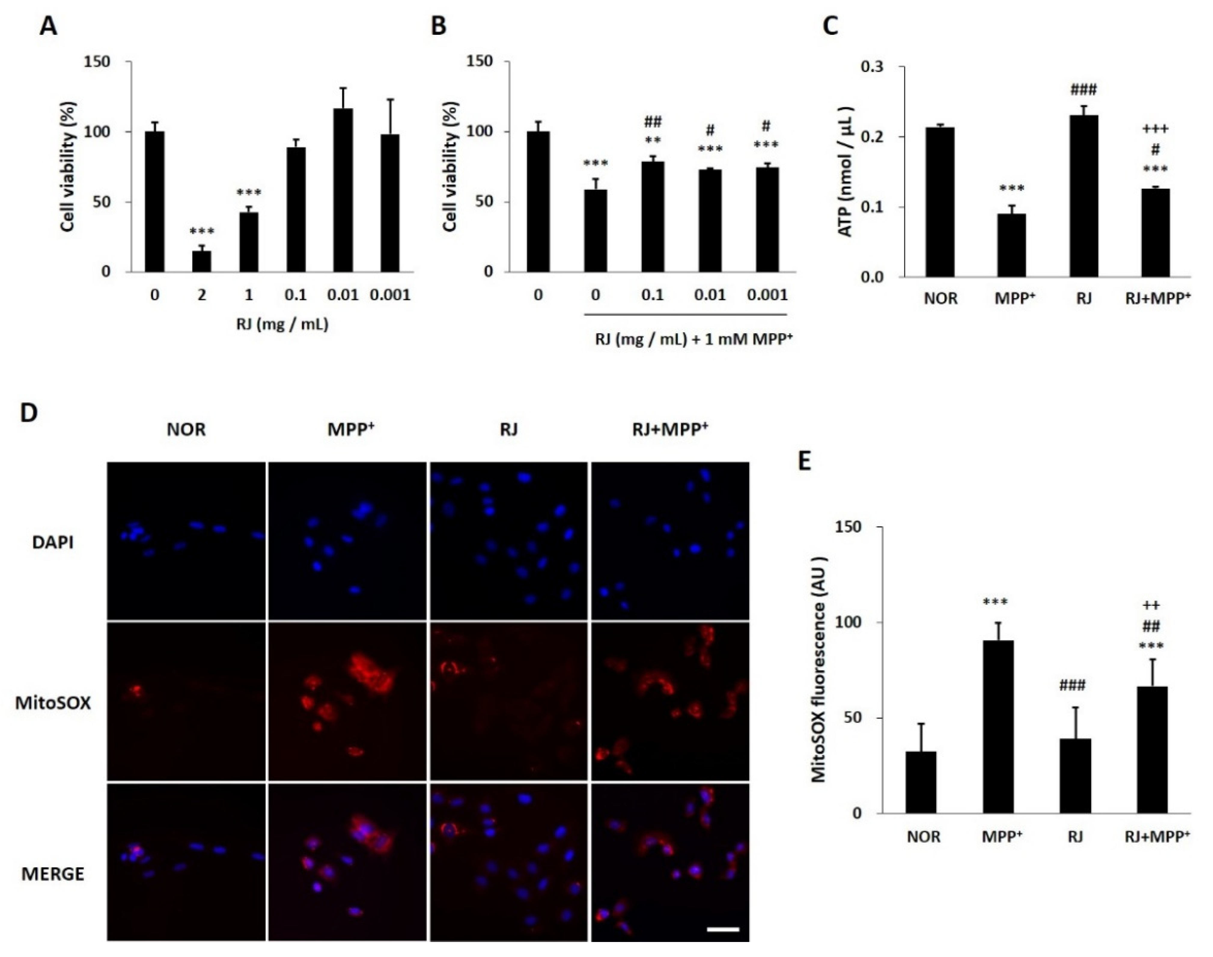 Antioxidants 11 00141 g001