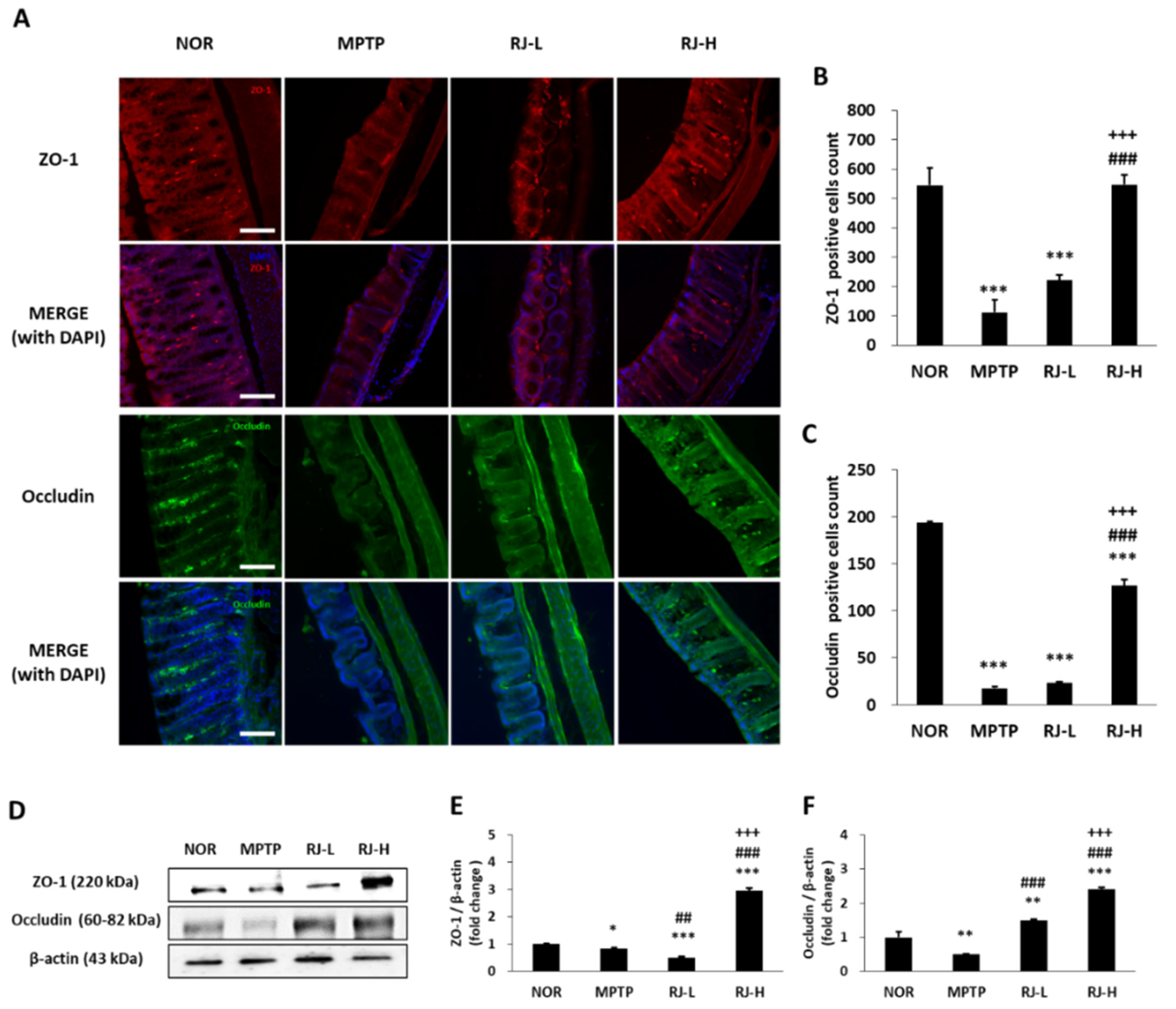 Antioxidants 11 00141 g007