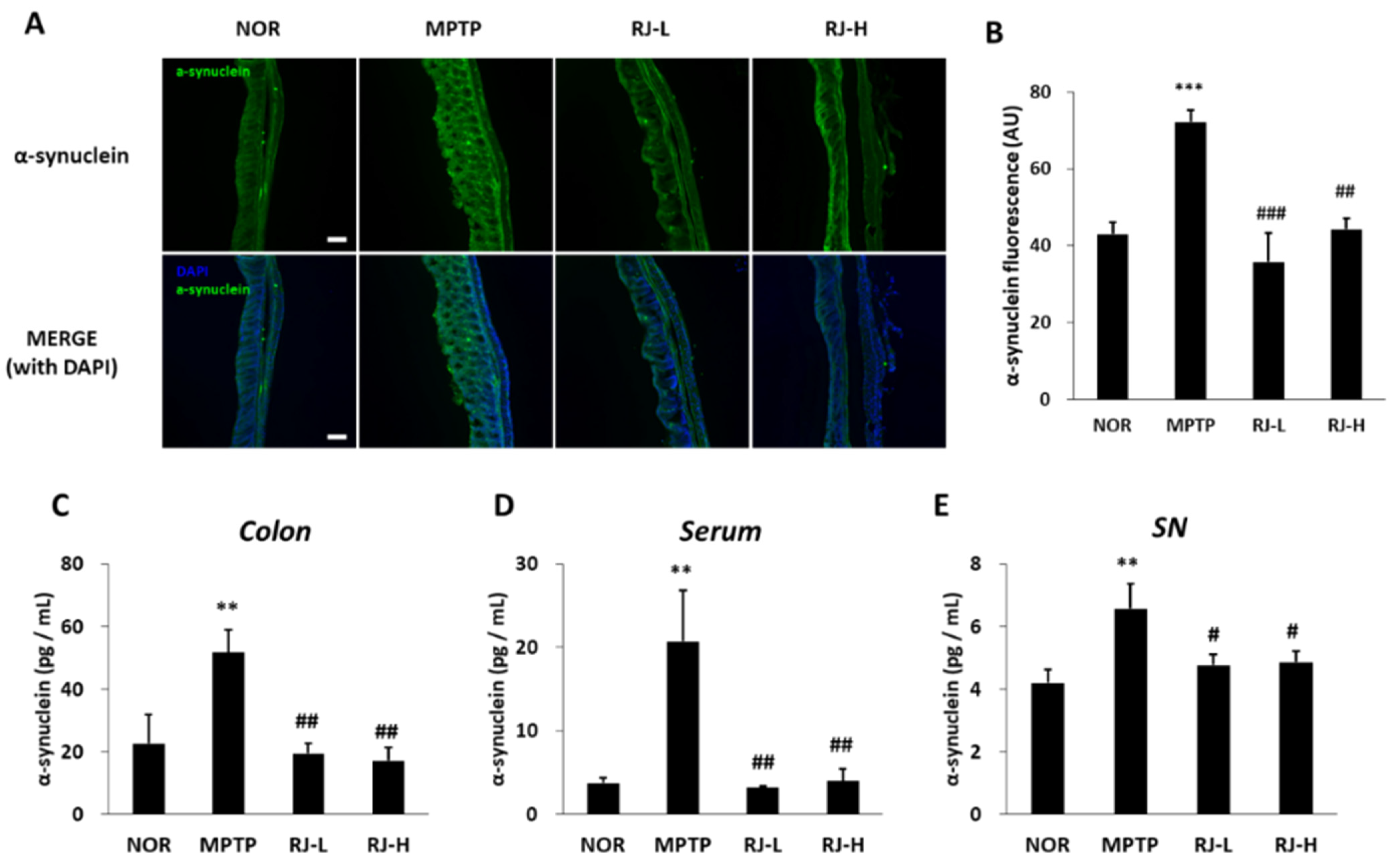 Antioxidants 11 00141 g009