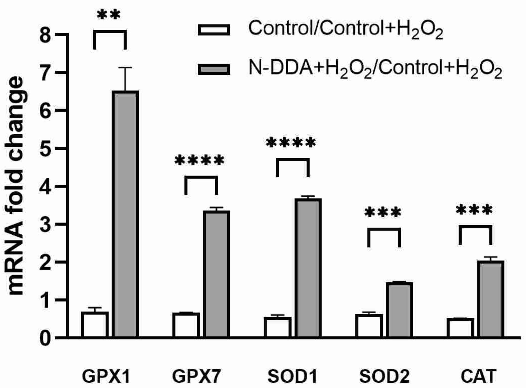 Antioxidants 11 00142 g006 Antioxidants 11 00142 g006