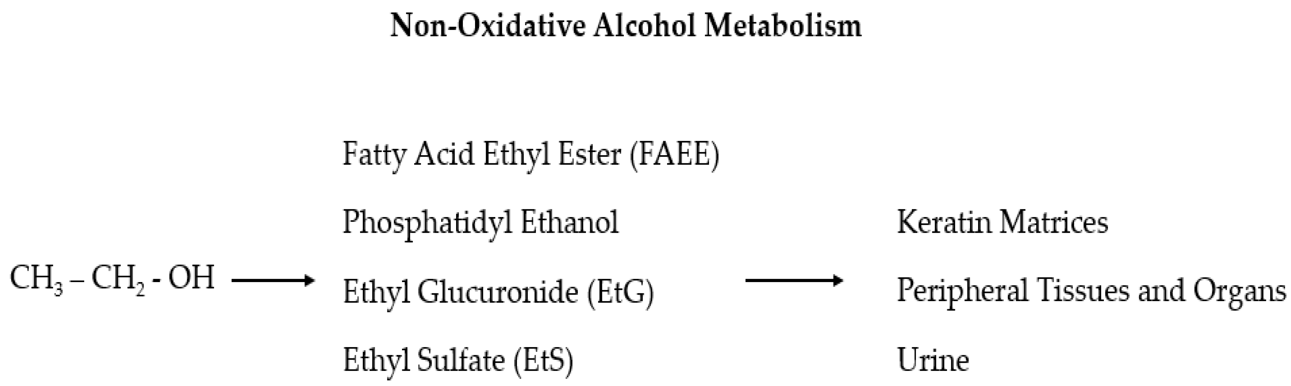 Antioxidants 11 00145 g001 Antioxidants 11 00145 g001