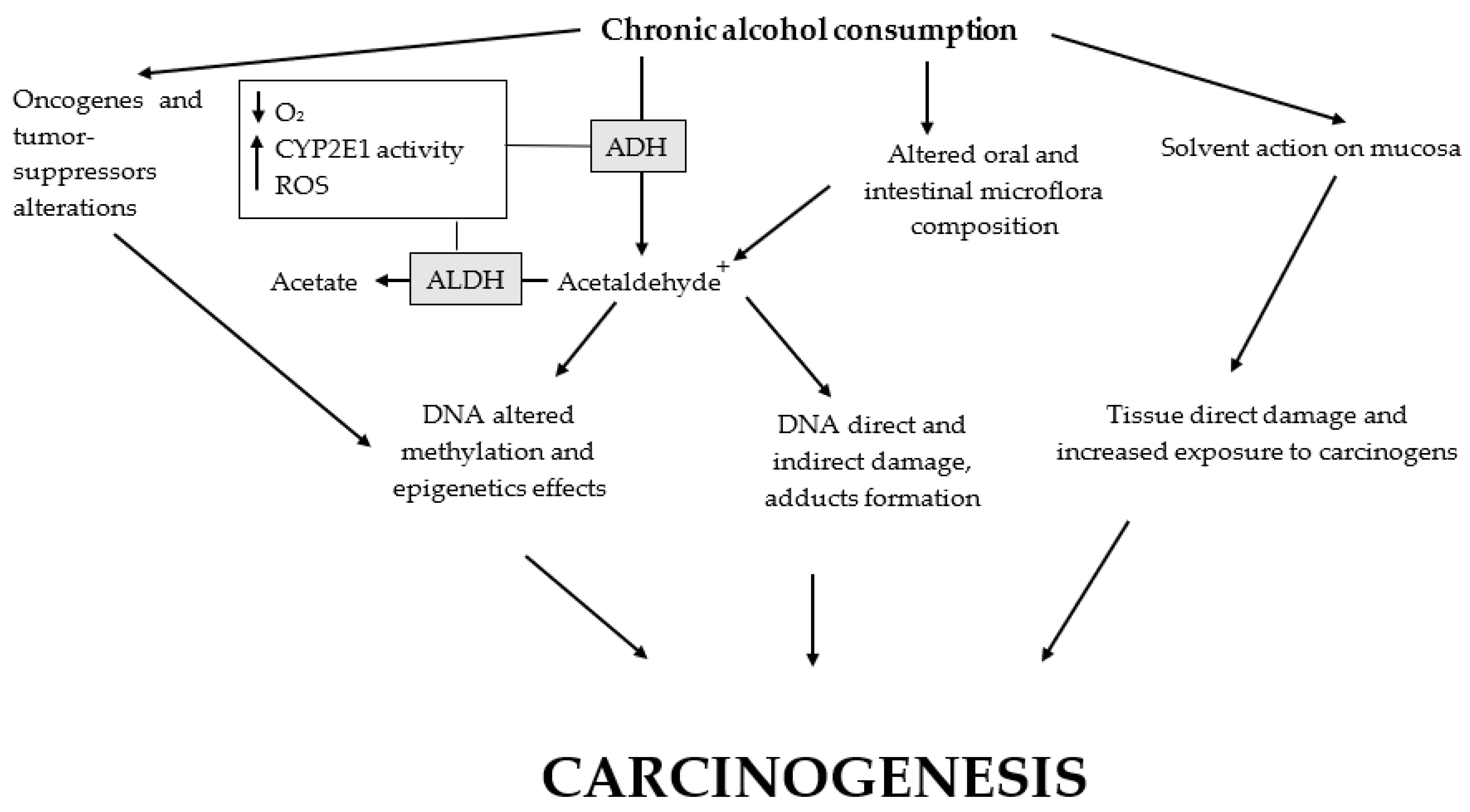 Antioxidants 11 00145 g002 Antioxidants 11 00145 g002