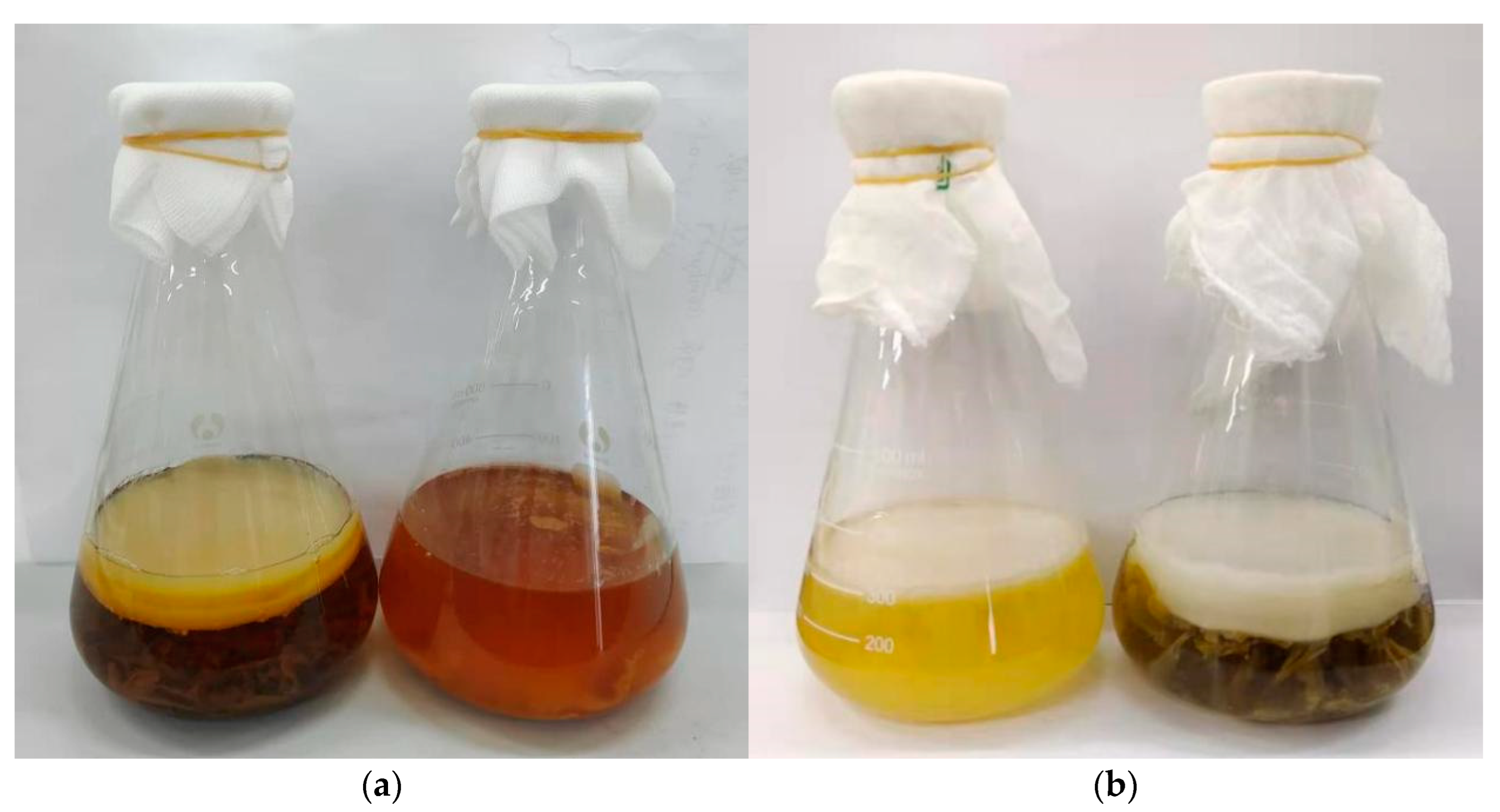 Antioxidants 11 00155 g001 550