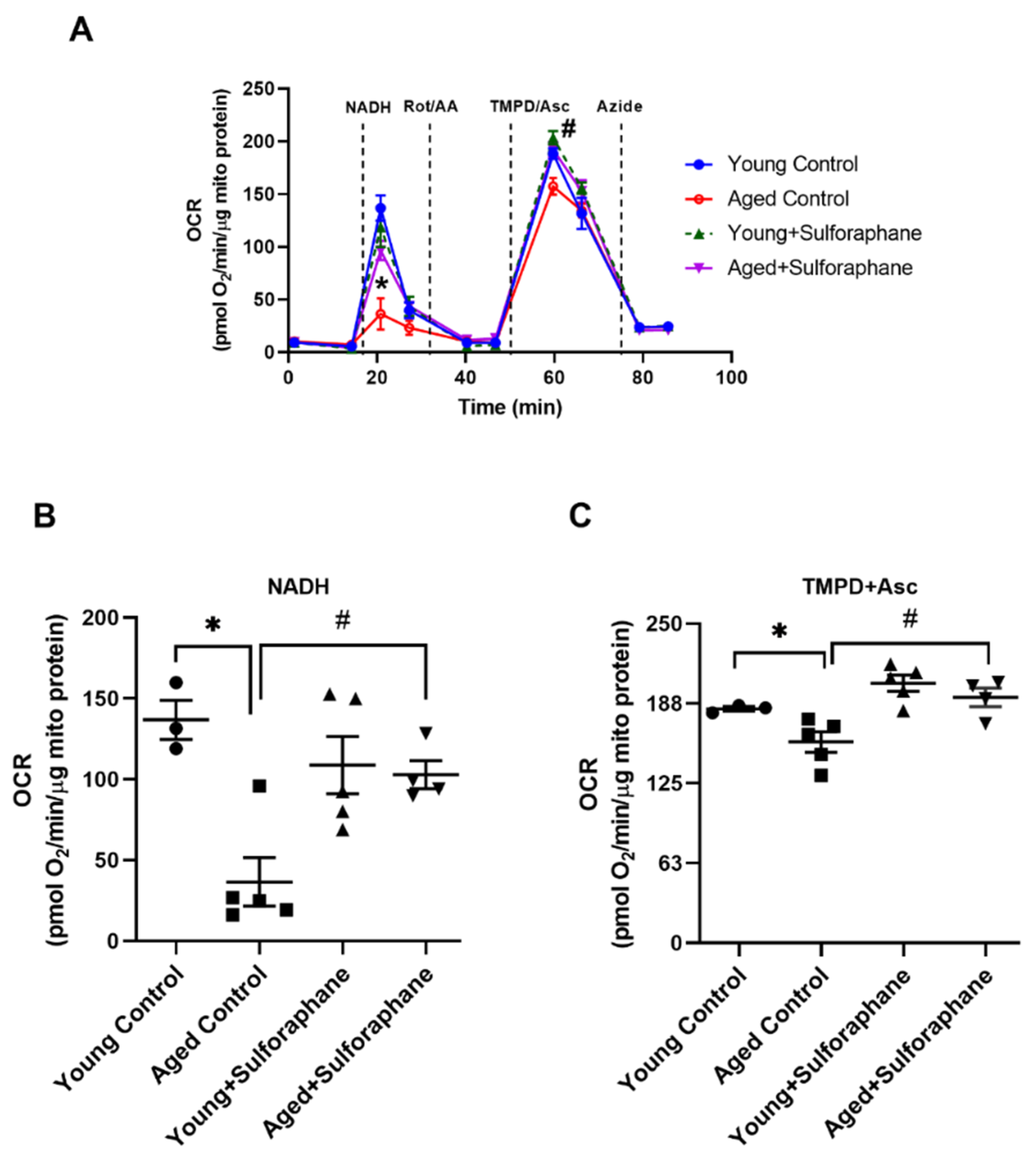 Antioxidants 11 00156 g002