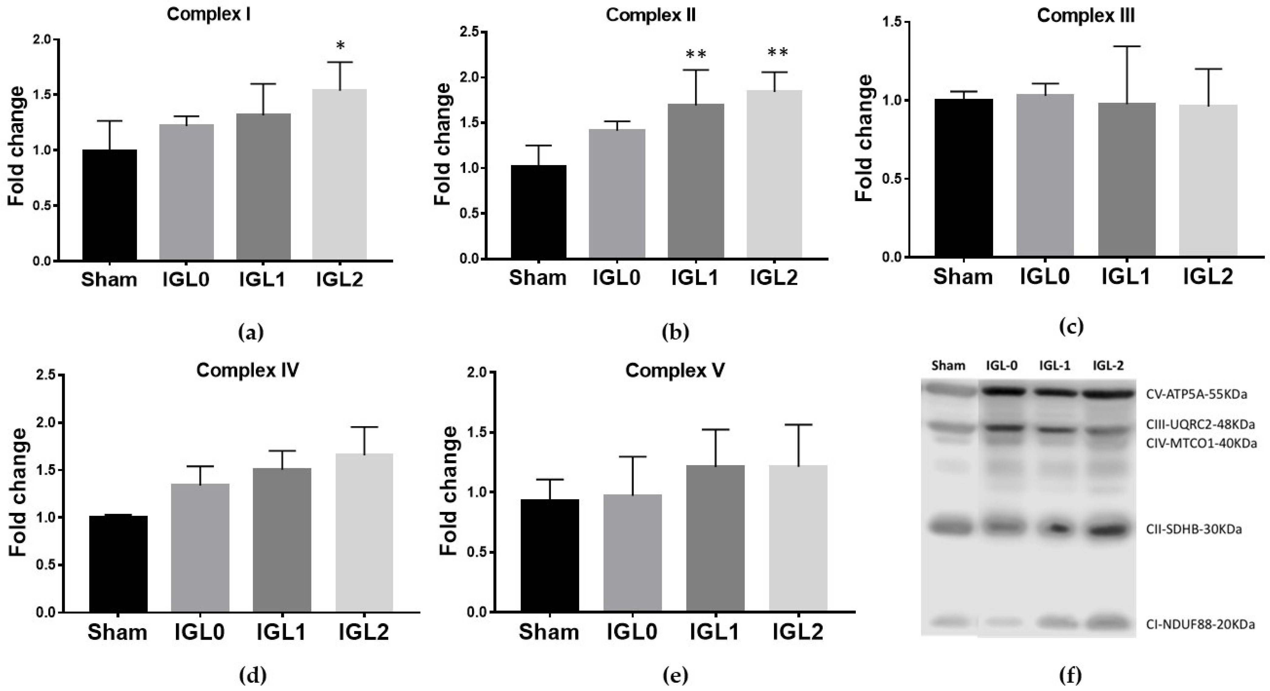 Antioxidants 11 00158 g002