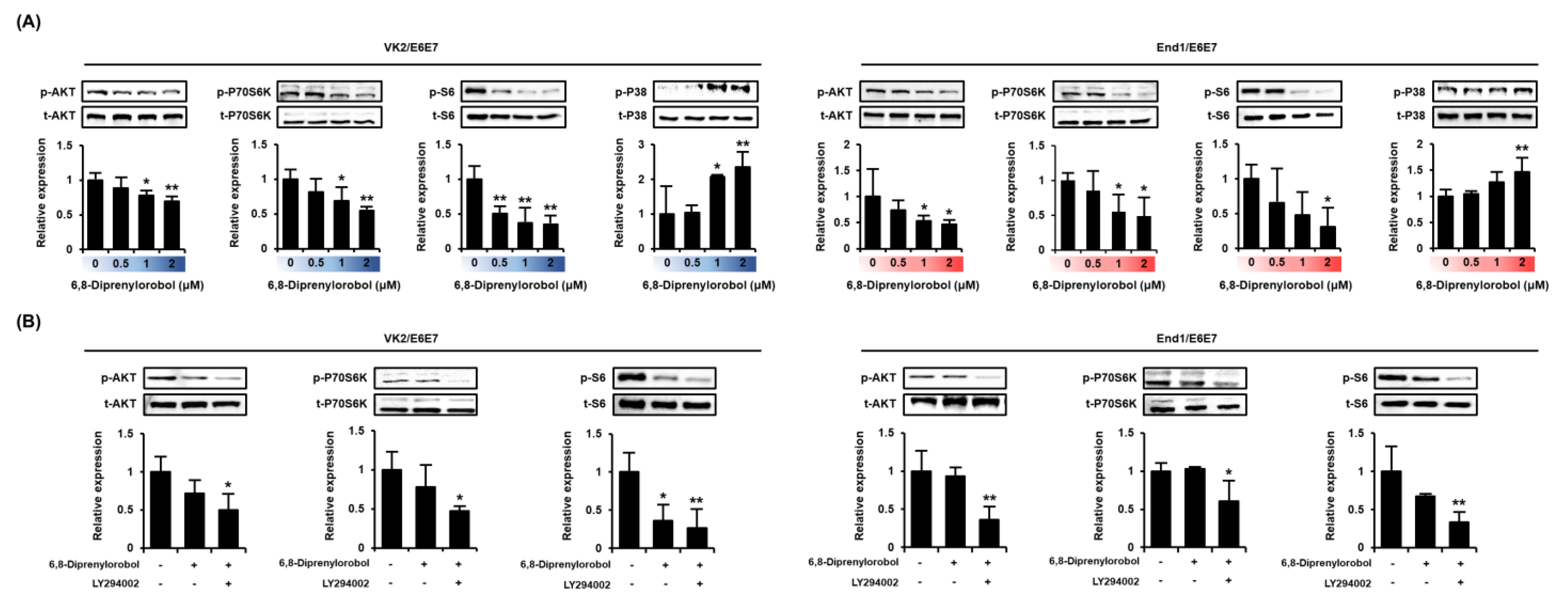Antioxidants 11 00171 g006 550