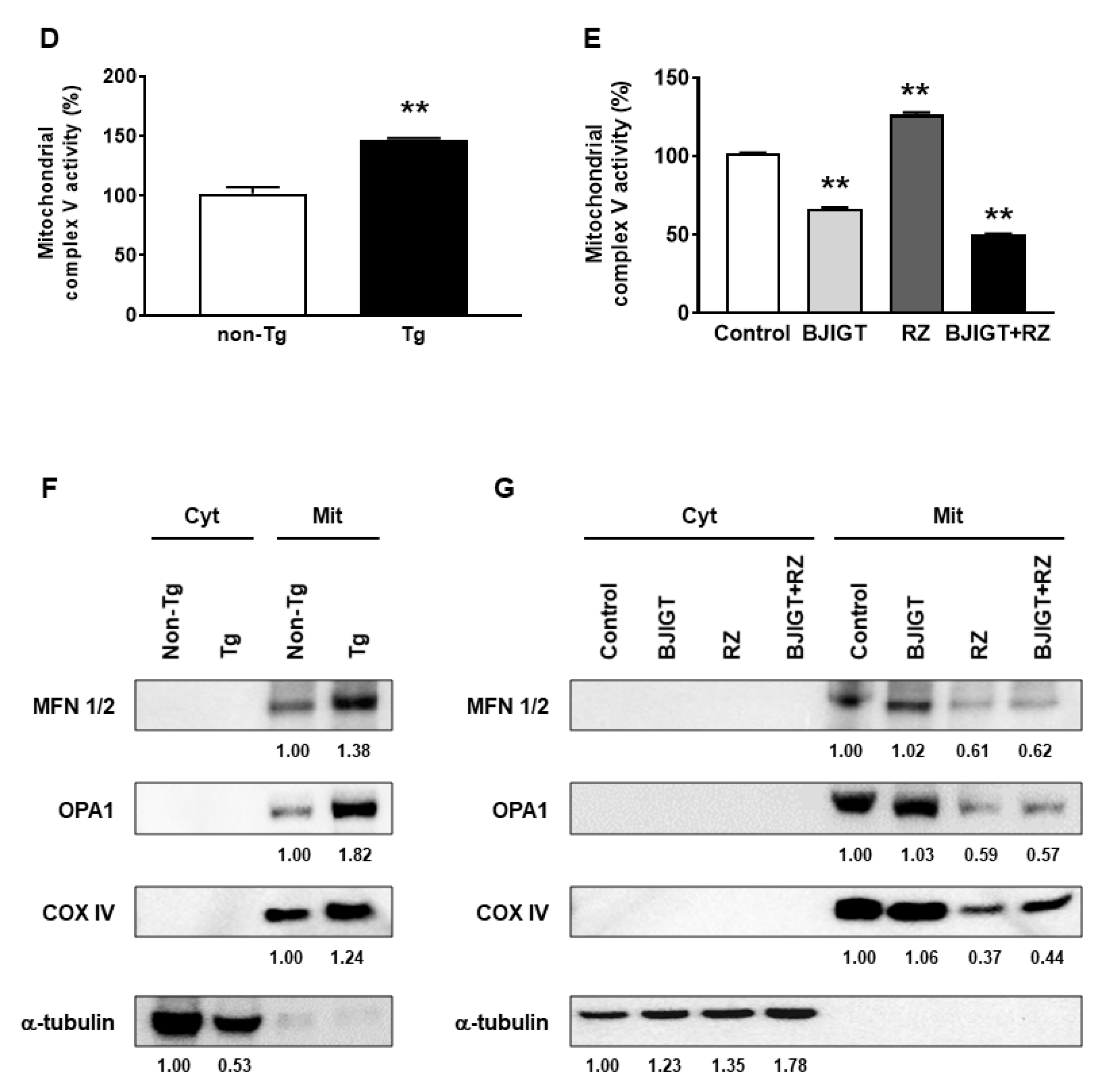 Antioxidants 11 00173 g007b