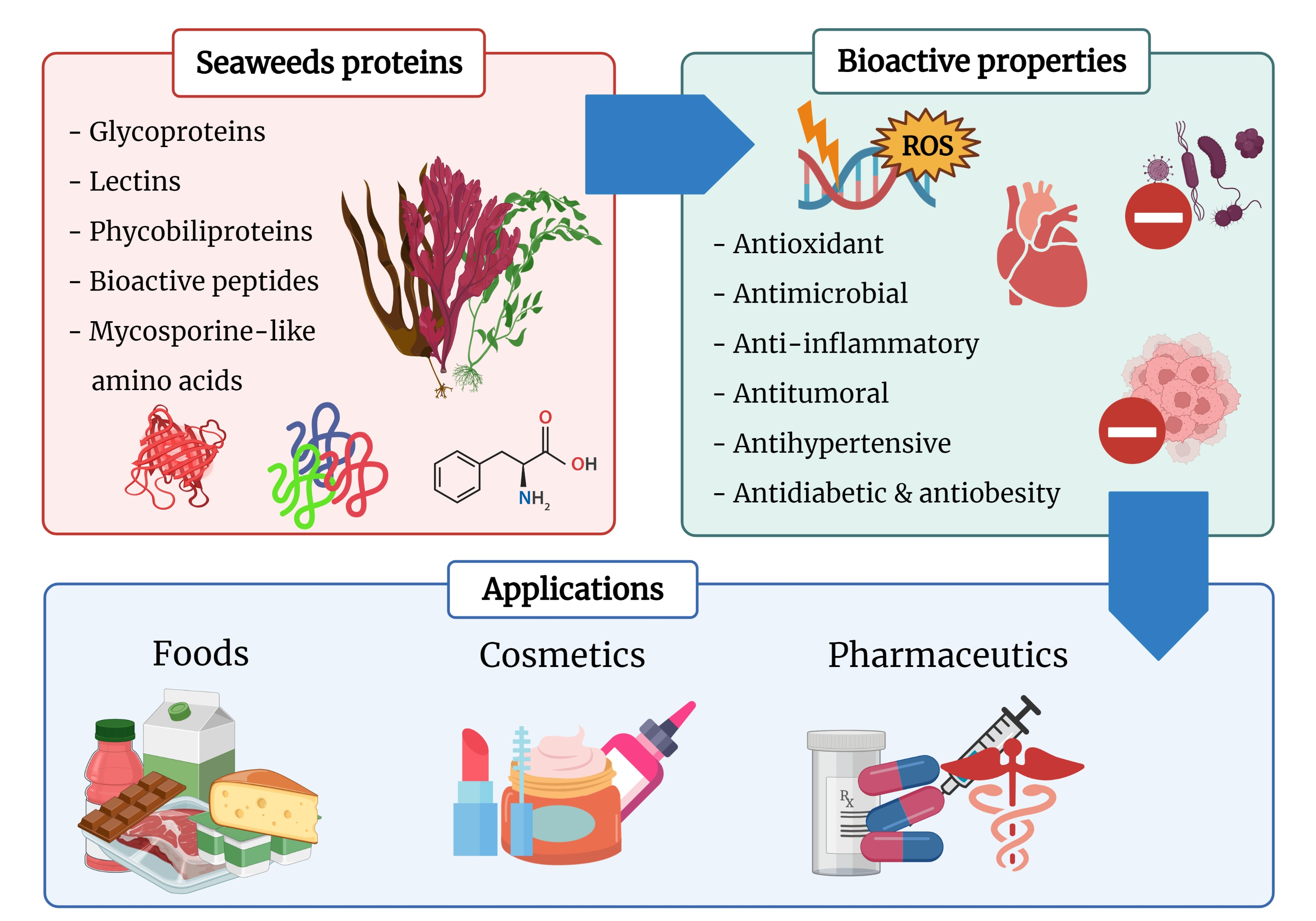 Antioxidants Free FullText SeaweedDerived Proteins and Peptides