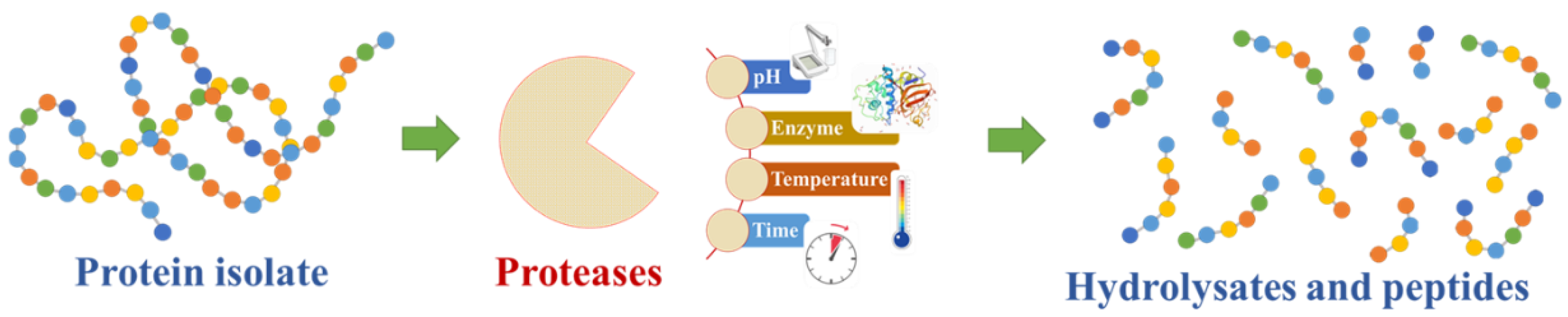 Antioxidants 11 00176 g002
