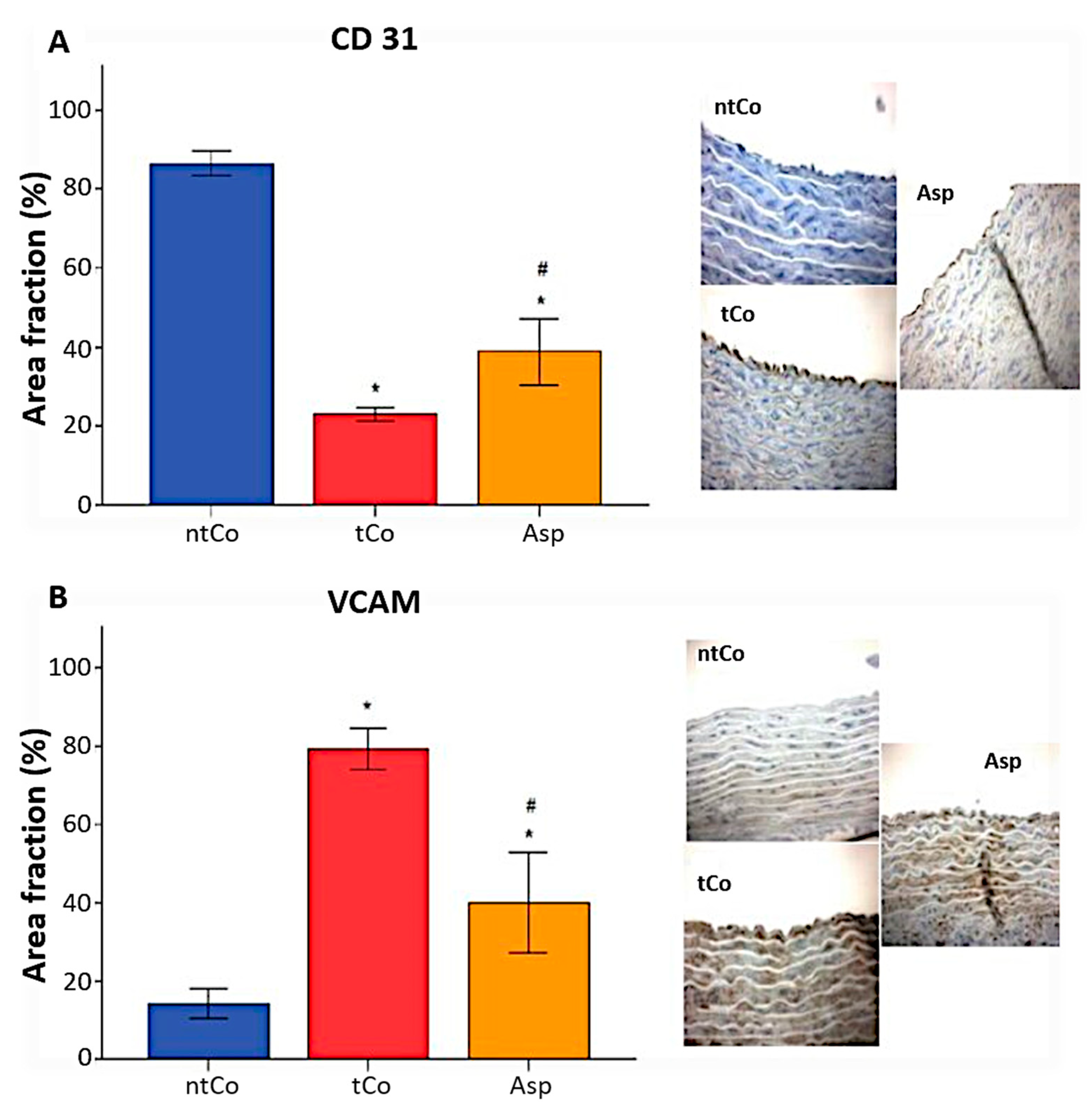 Antioxidants 11 00177 g005 Antioxidants 11 00177 g005