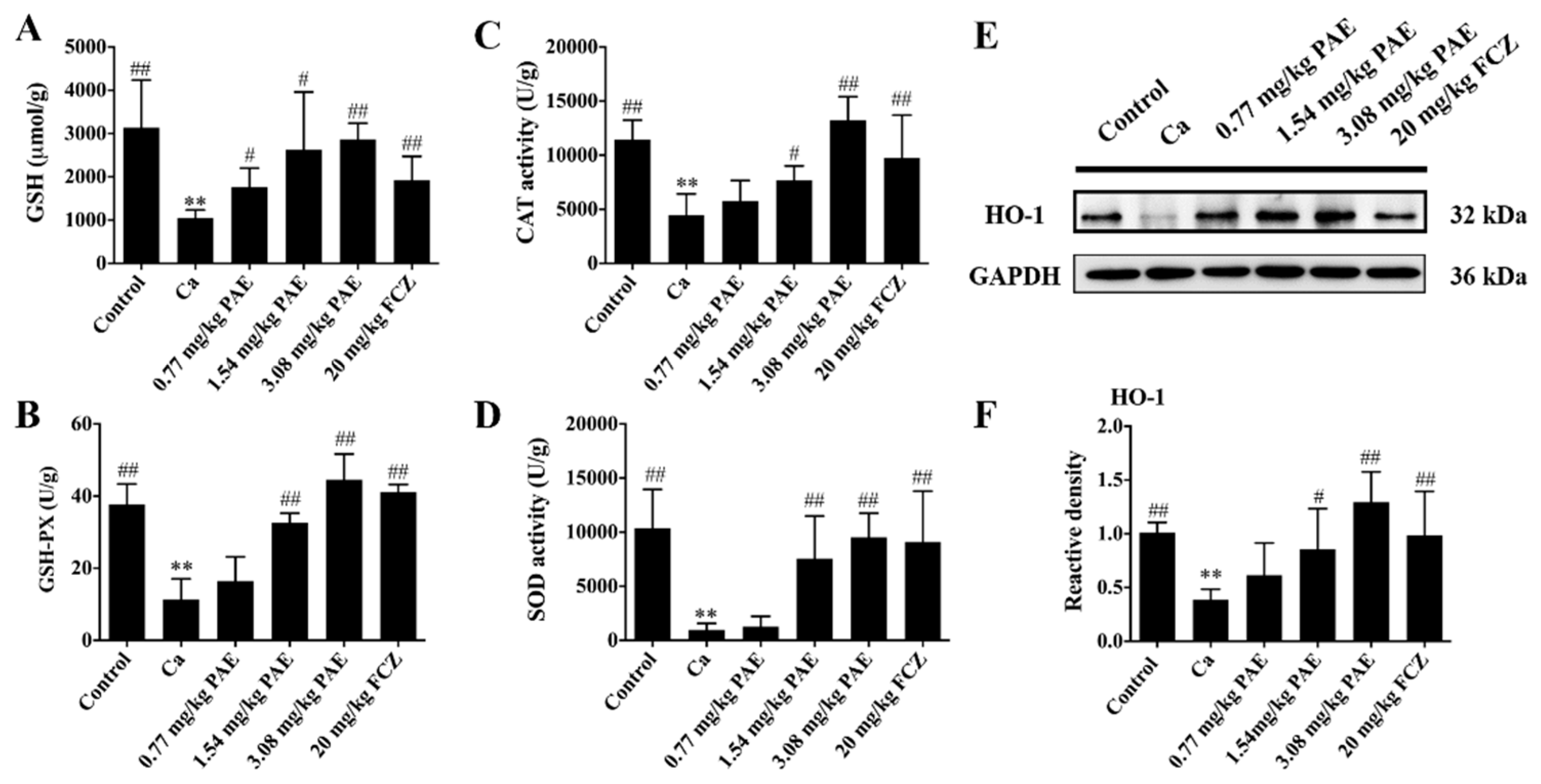 Antioxidants 11 00178 g002 Antioxidants 11 00178 g002