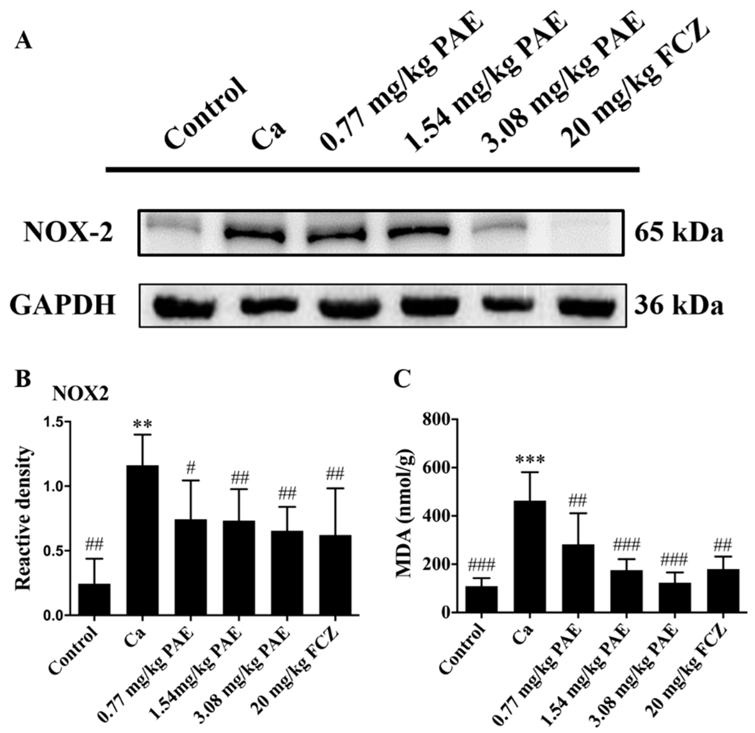 Antioxidants 11 00178 g003 Antioxidants 11 00178 g003