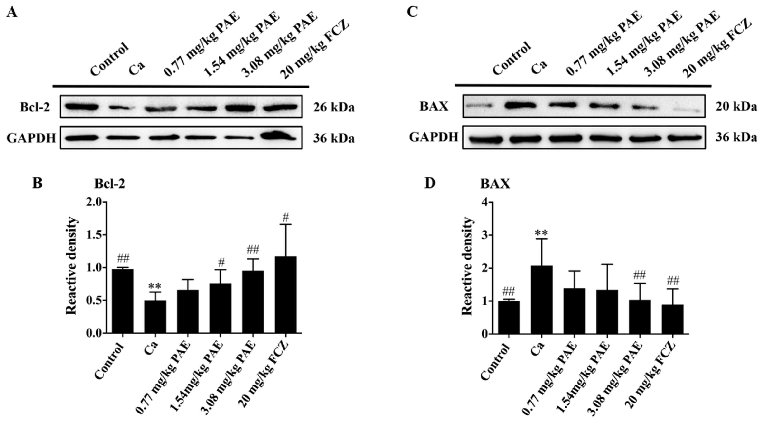 Antioxidants 11 00178 g005 Antioxidants 11 00178 g005