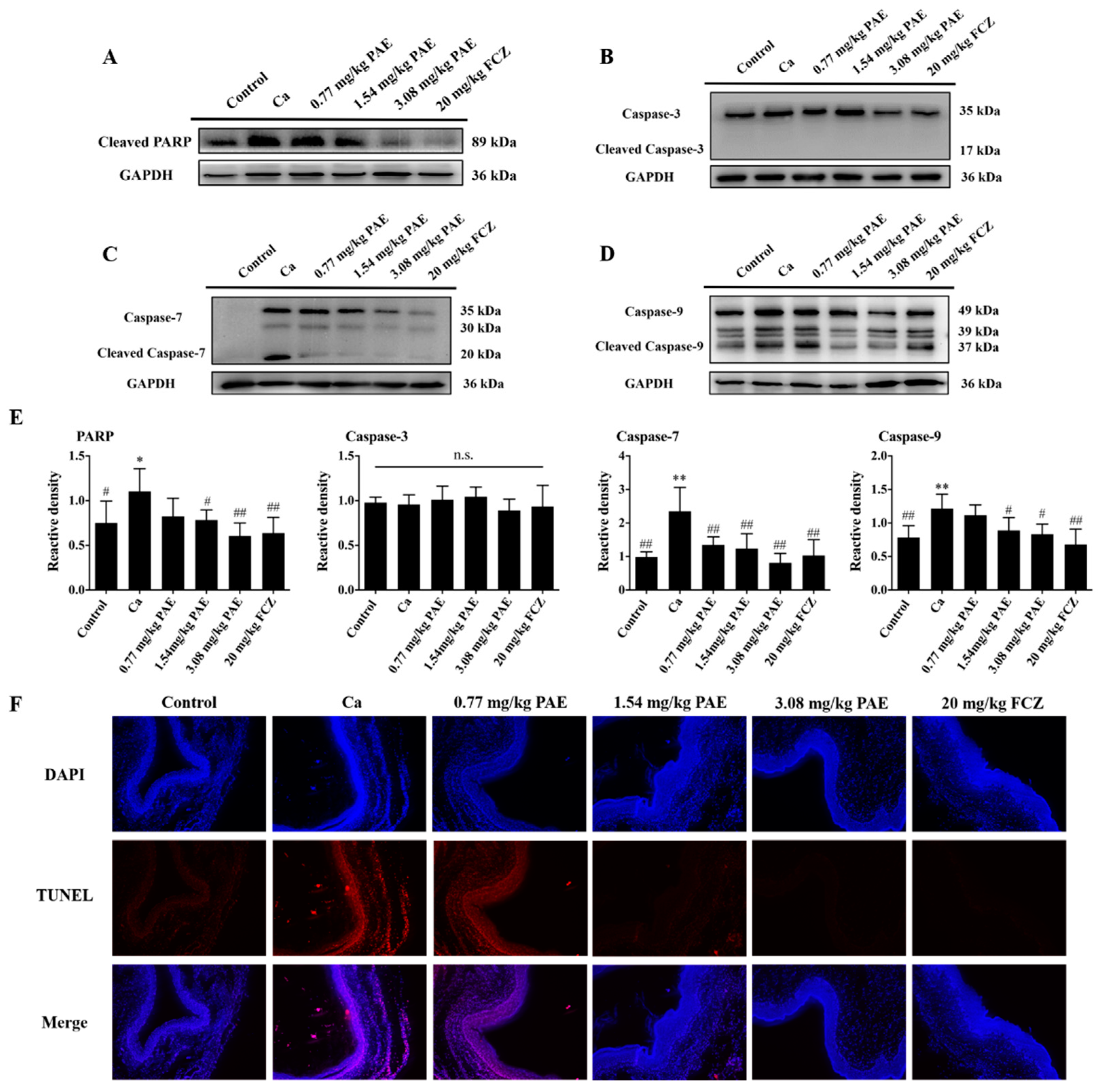 Antioxidants 11 00178 g006 Antioxidants 11 00178 g006