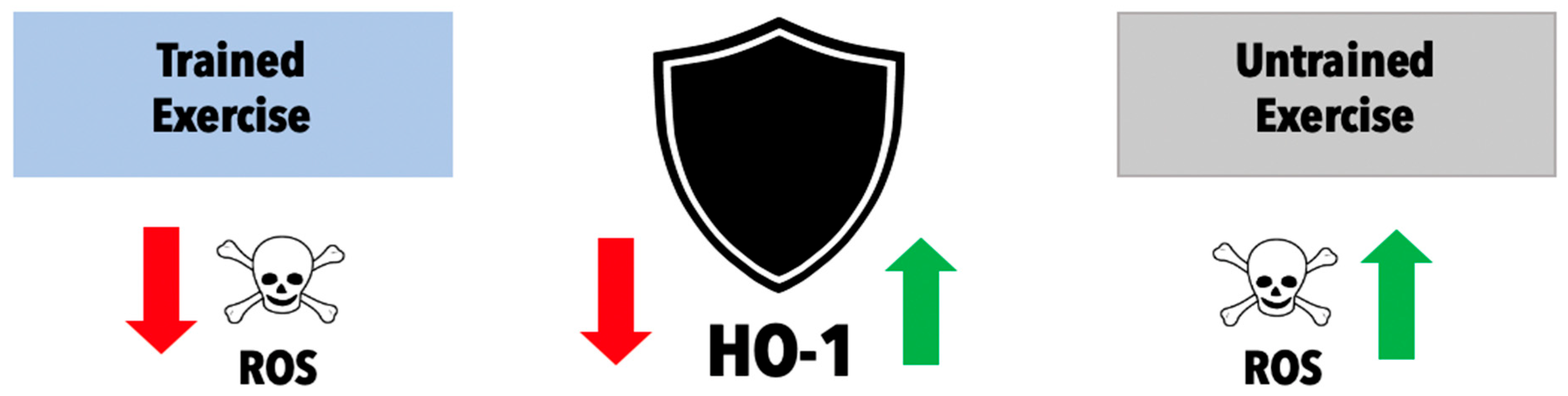 Reactive Oxygen Species