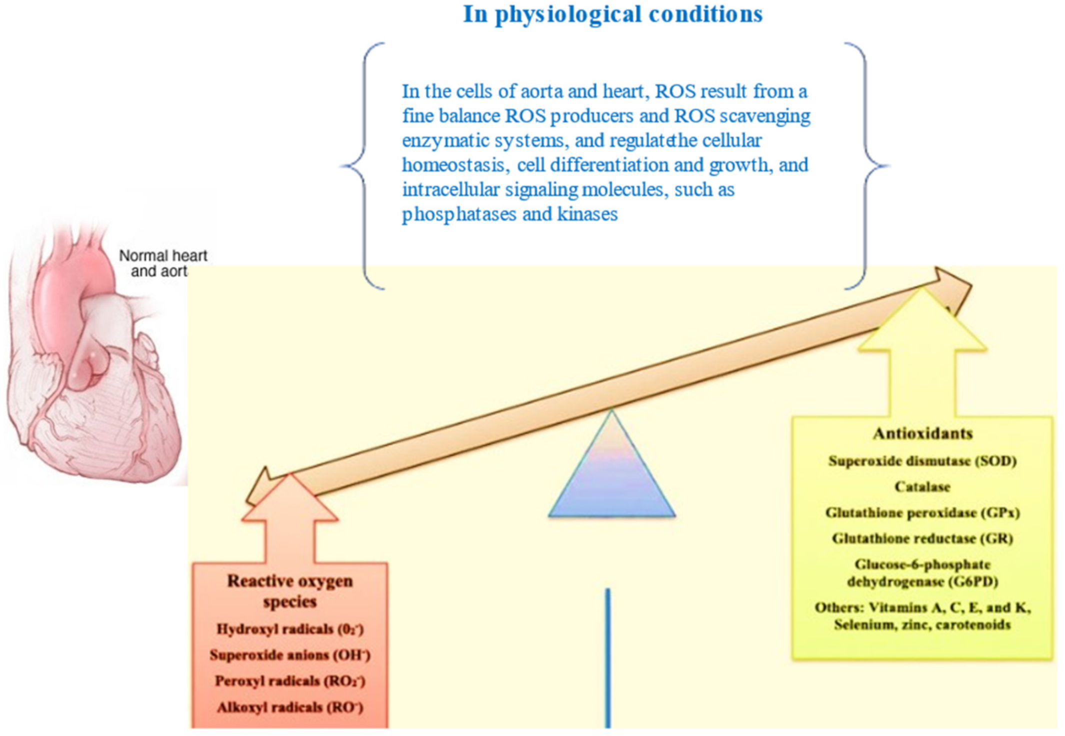 Antioxidants 11 00182 g001