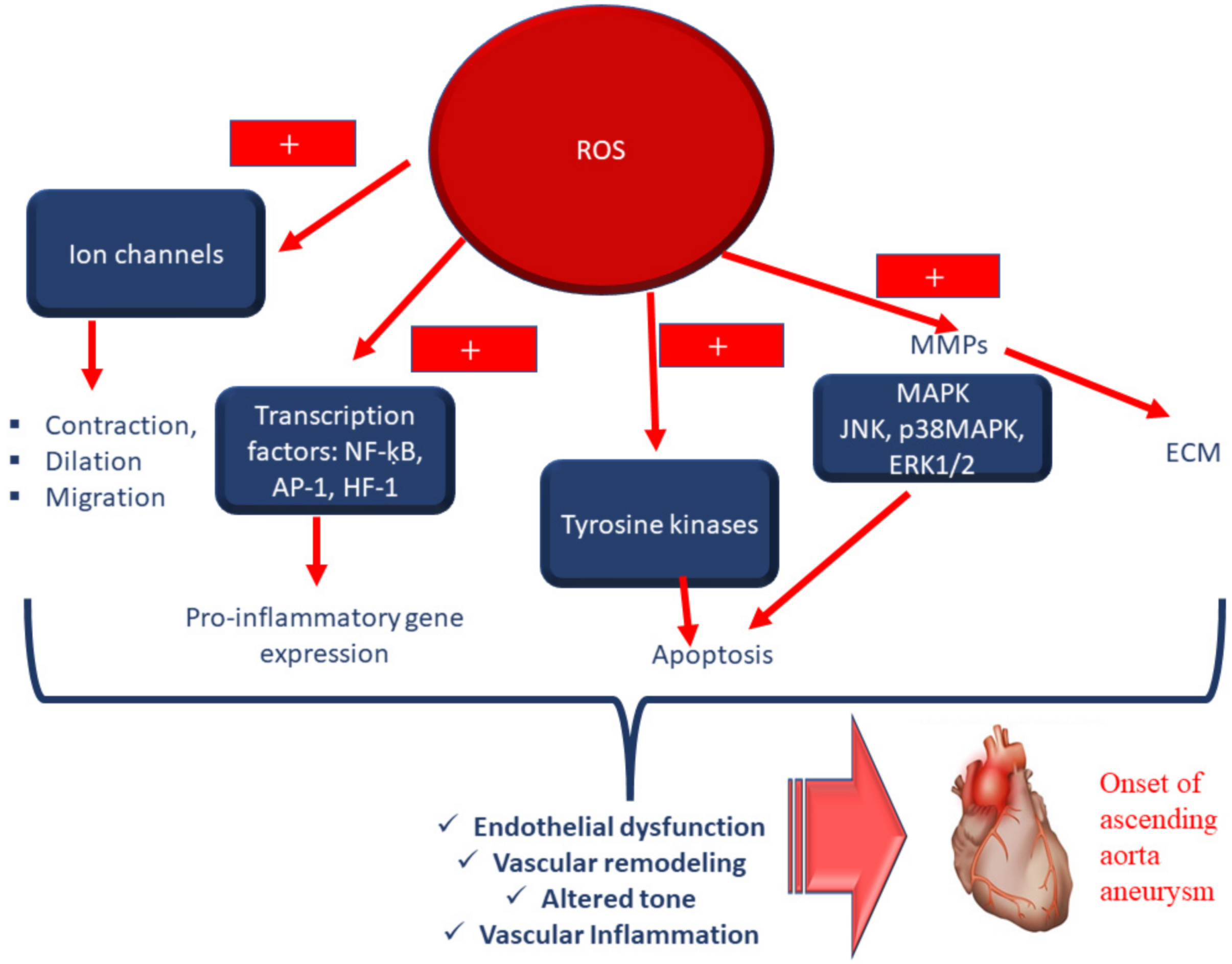 Antioxidants 11 00182 g003