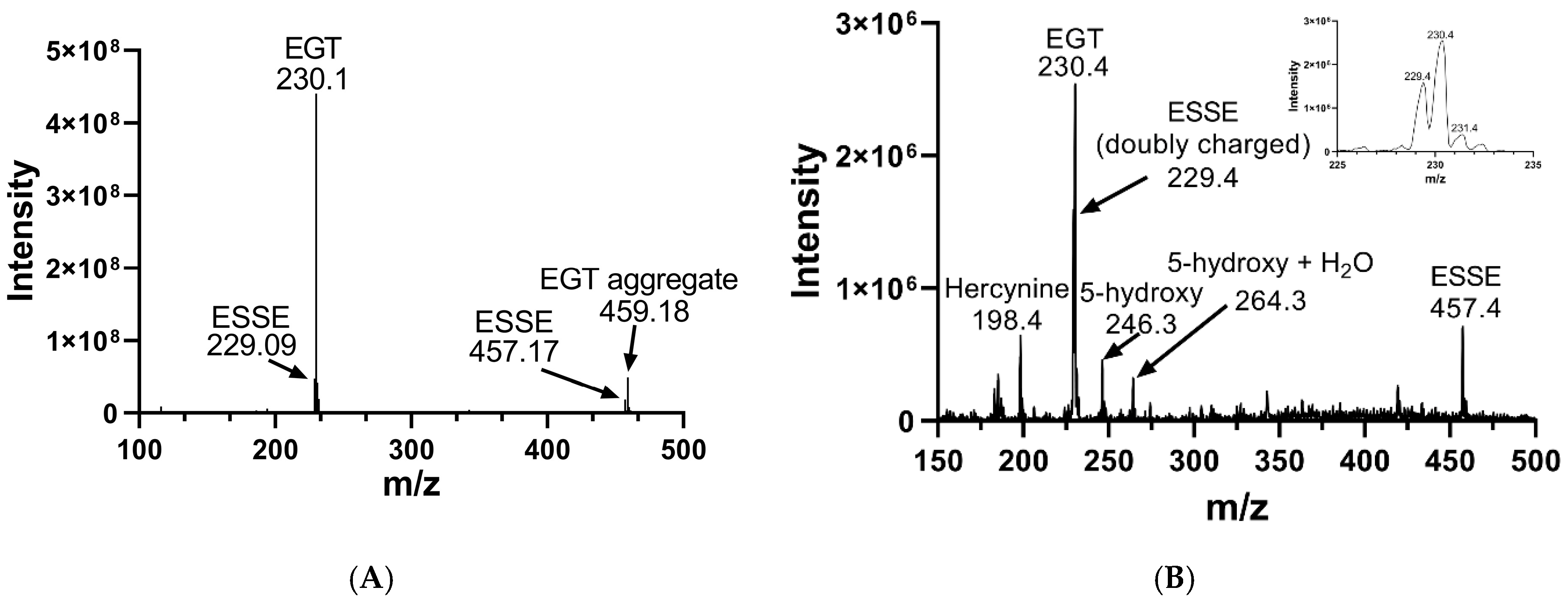 Antioxidants 11 00185 g008