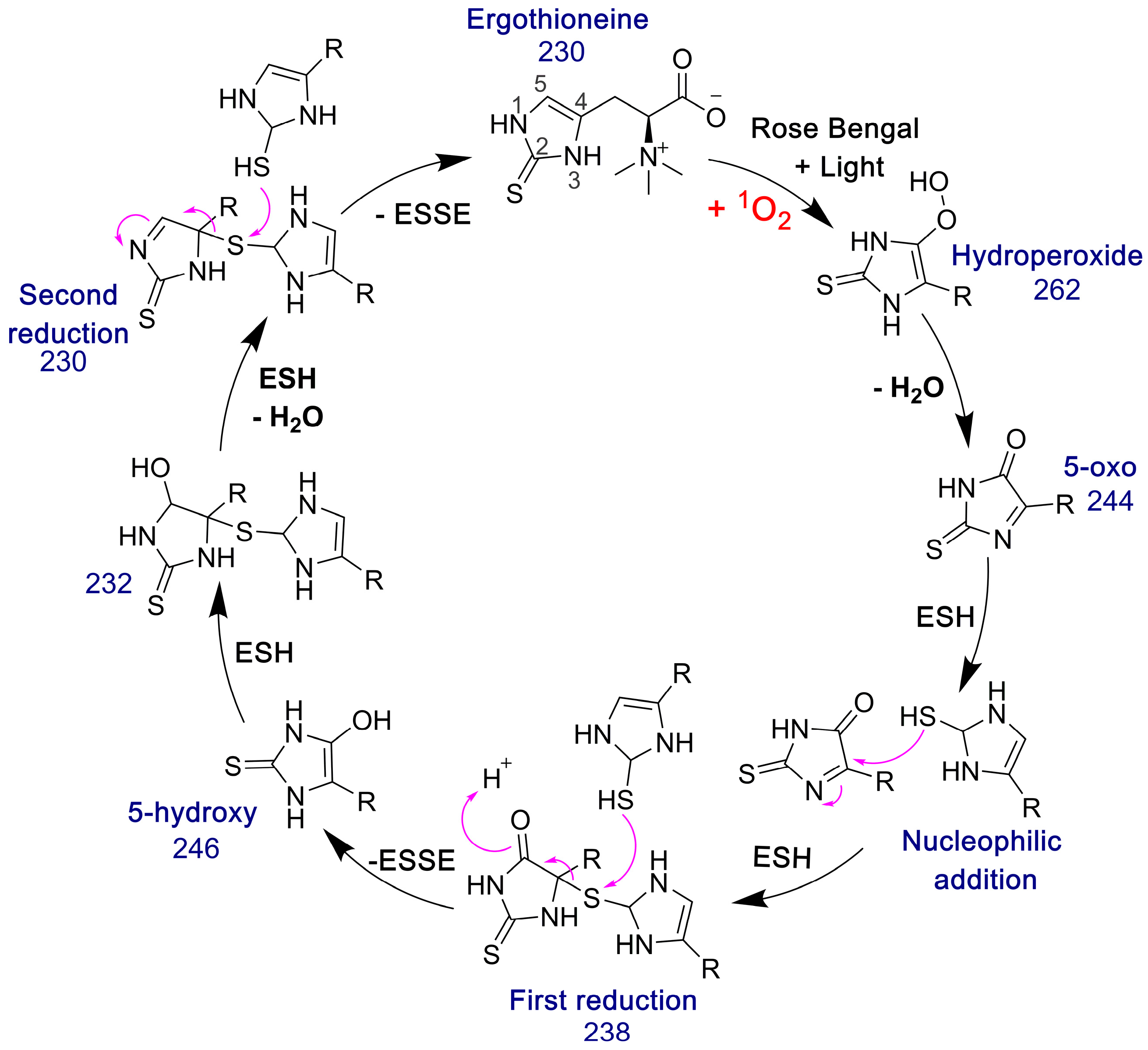 Antioxidants 11 00185 g009