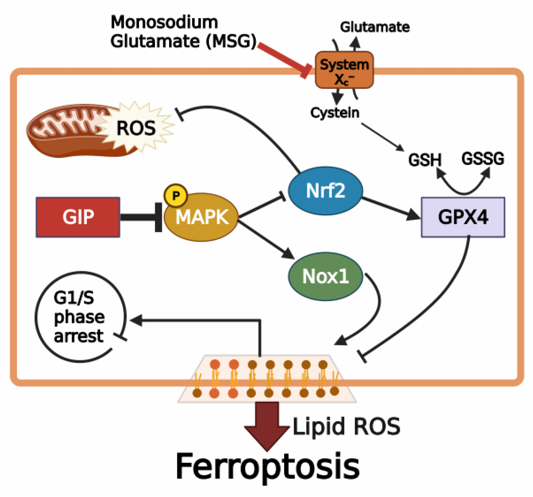 Antioxidants 11 00189 g007