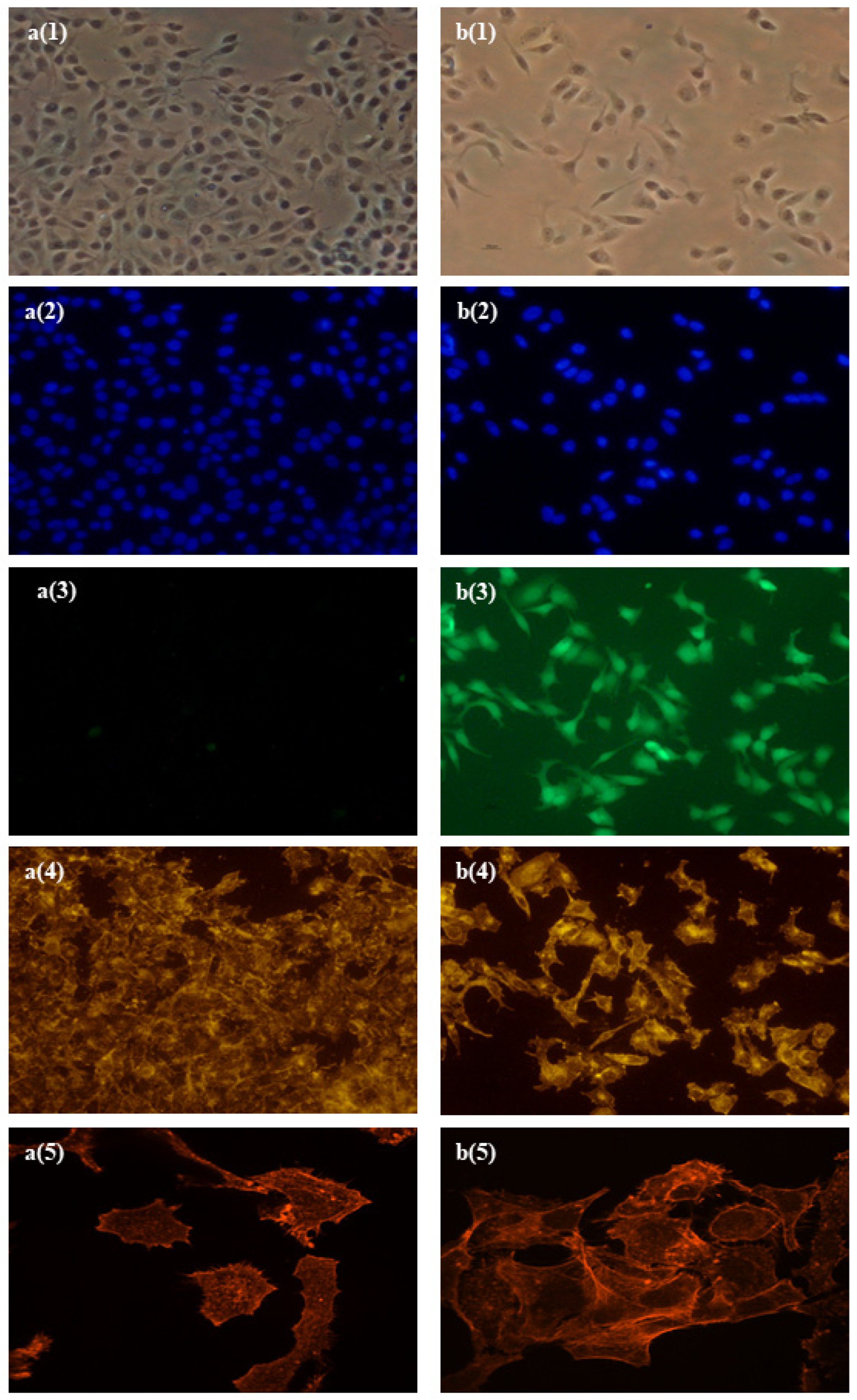 Antioxidants 11 00196 g002