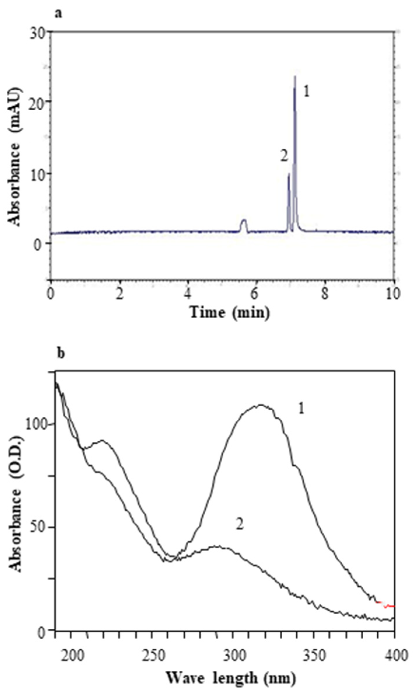 Antioxidants 11 00196 g004