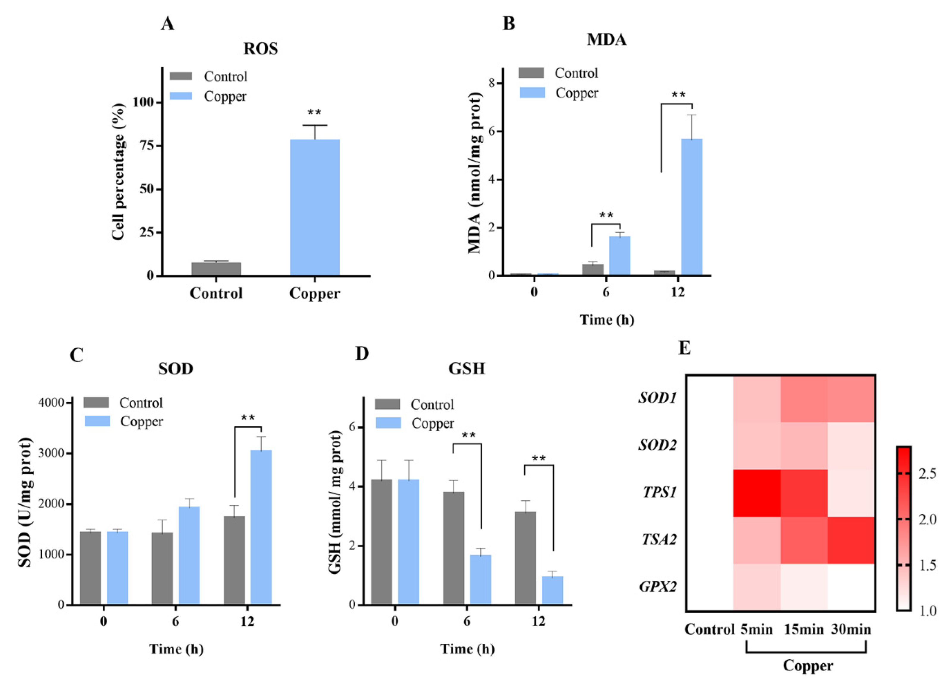 Antioxidants 11 00200 g001 550