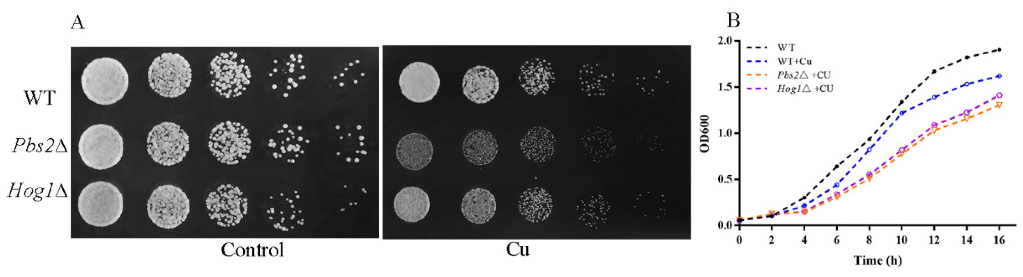 Antioxidants 11 00200 g002 550