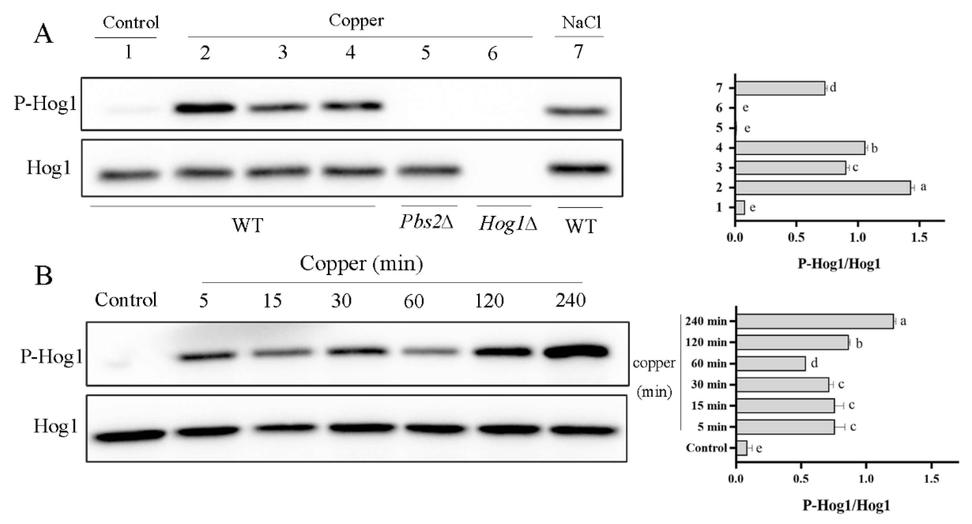 Antioxidants 11 00200 g003 550
