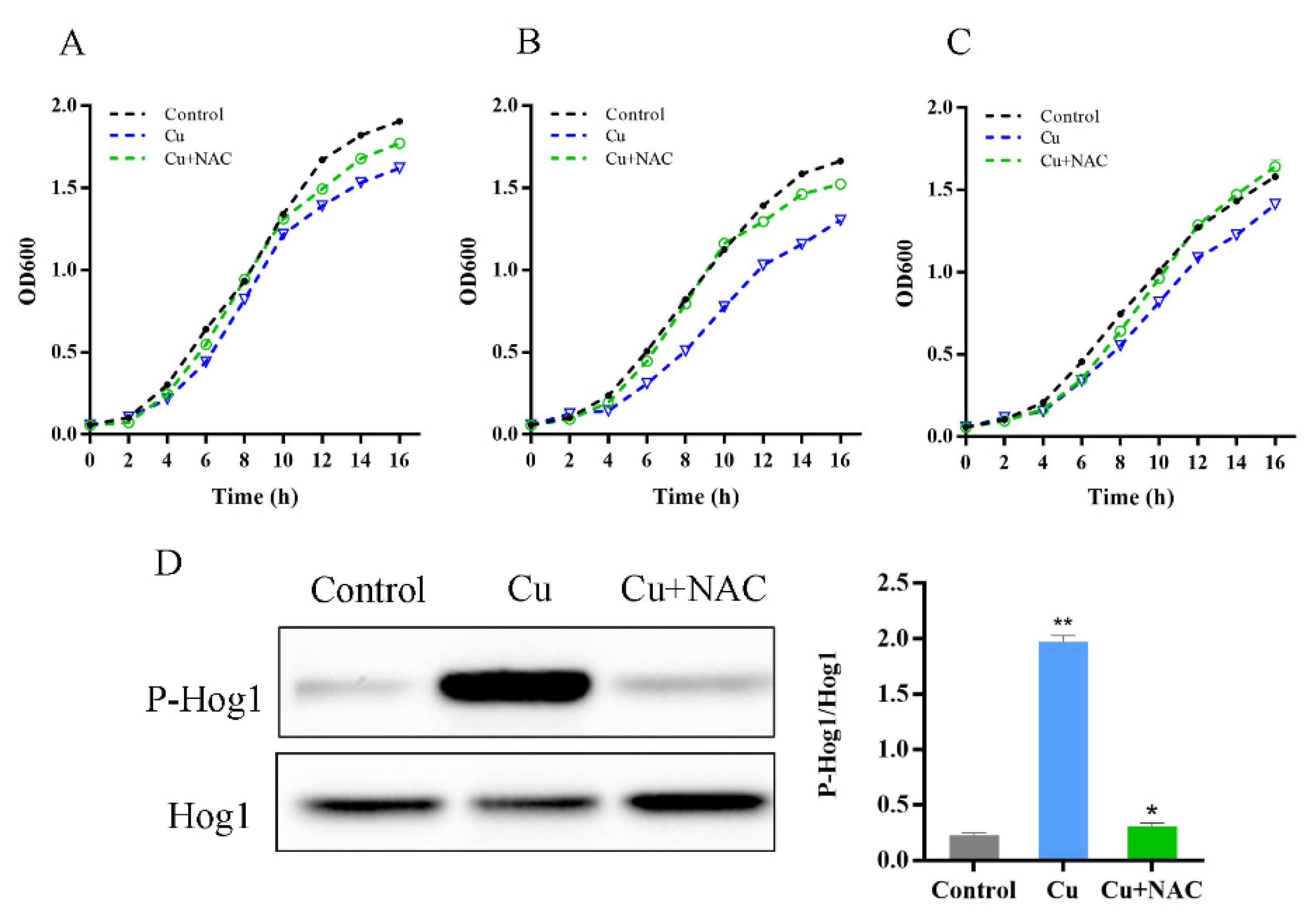 Antioxidants 11 00200 g004 550