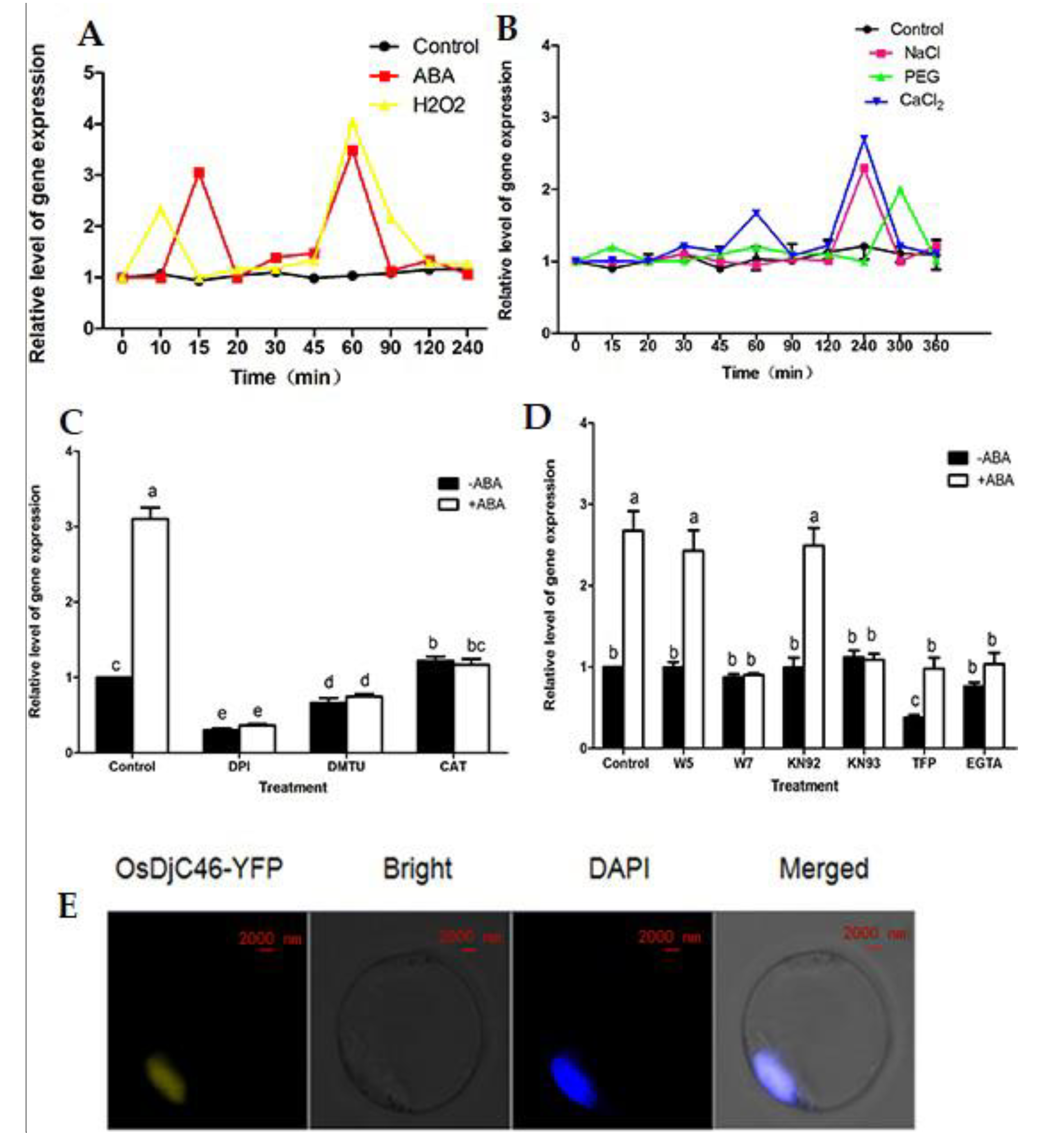 Antioxidants 11 00207 g002 550