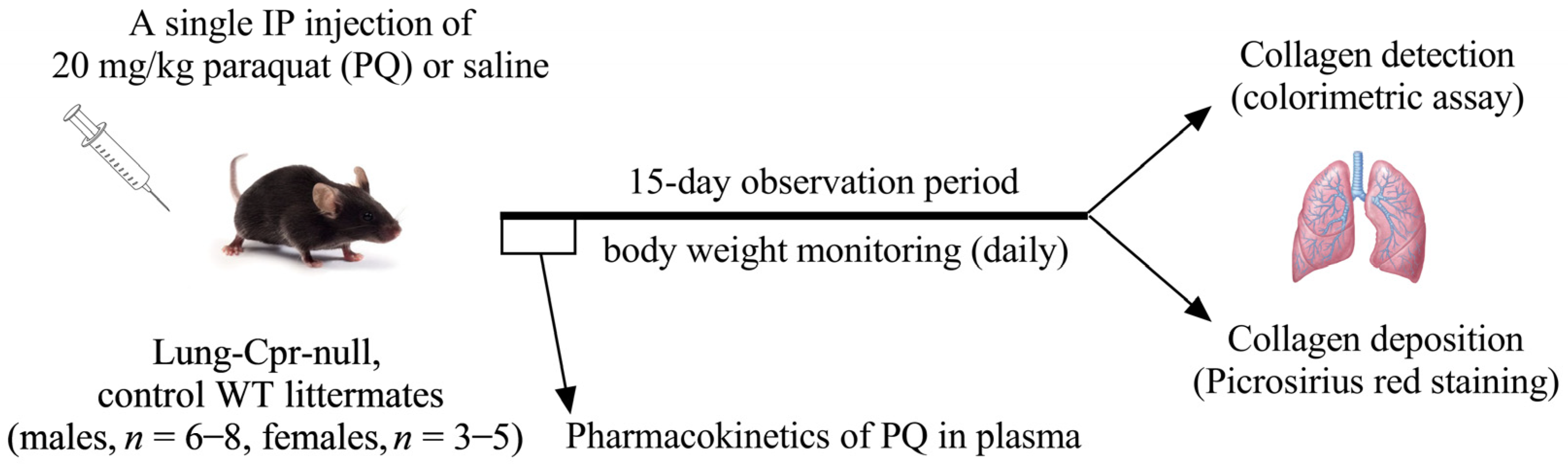 Antioxidants 11 00219 g001 Antioxidants 11 00219 g001
