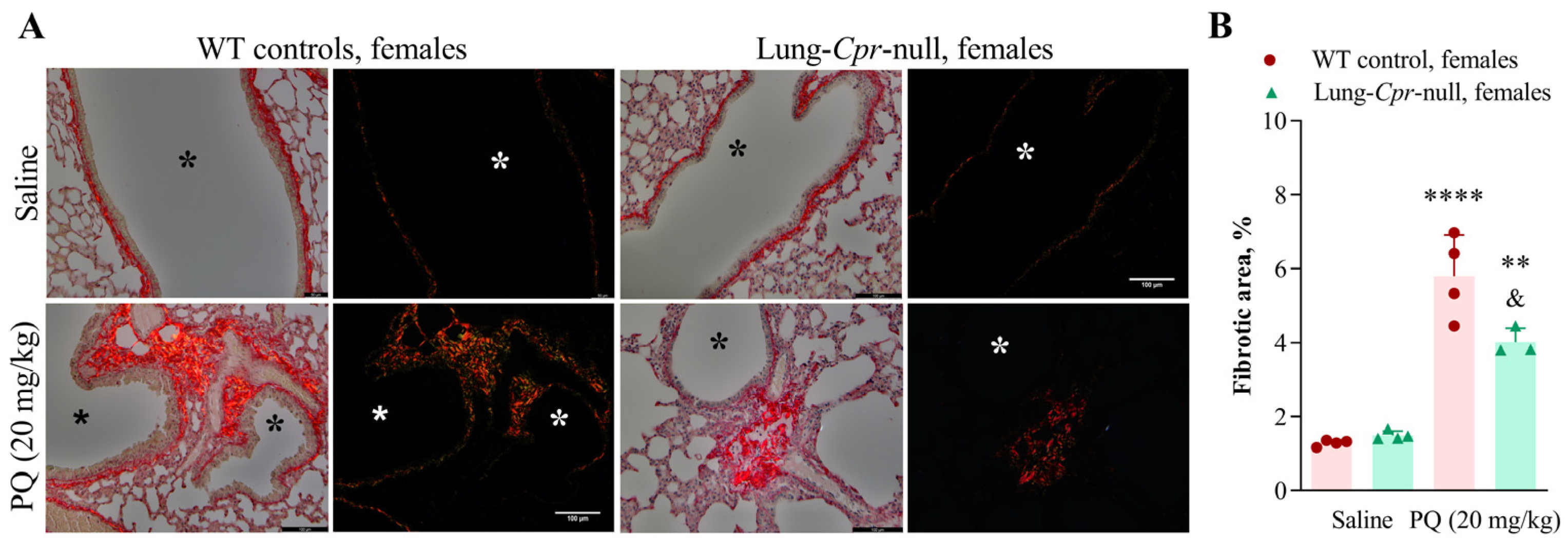 Antioxidants 11 00219 g004 Antioxidants 11 00219 g004