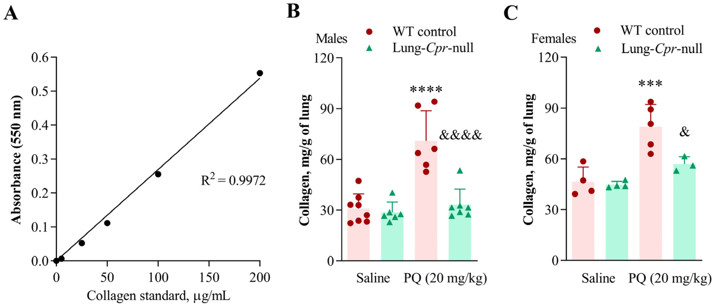 Antioxidants 11 00219 g005 Antioxidants 11 00219 g005