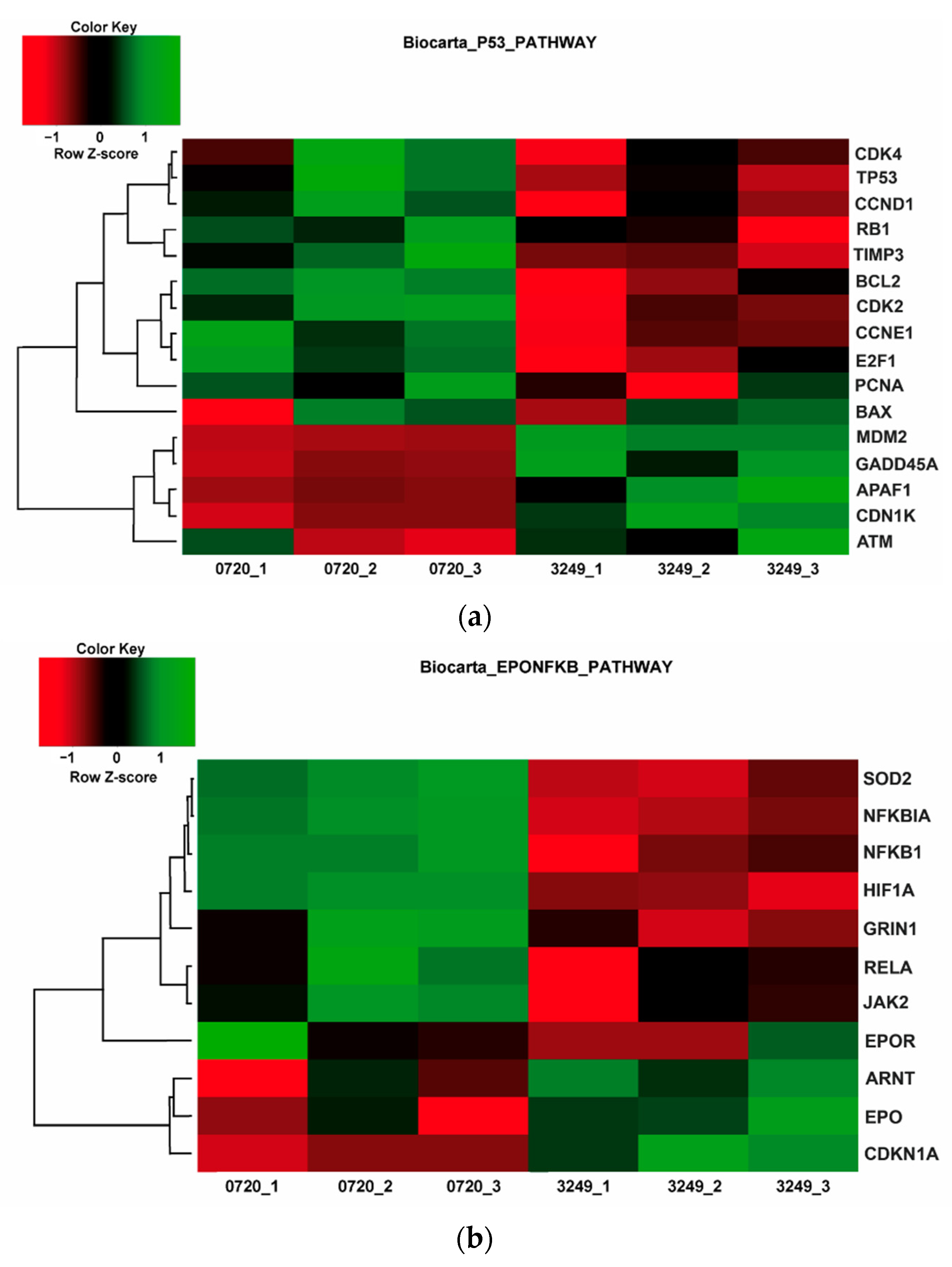 Antioxidants 11 00220 g008