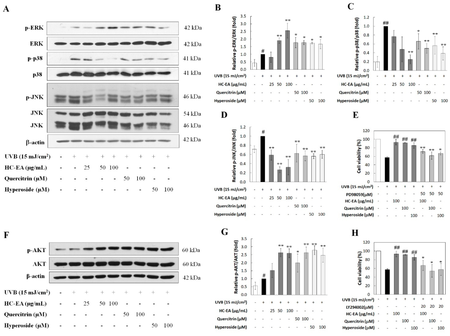 Antioxidants 11 00221 g006 Antioxidants 11 00221 g006