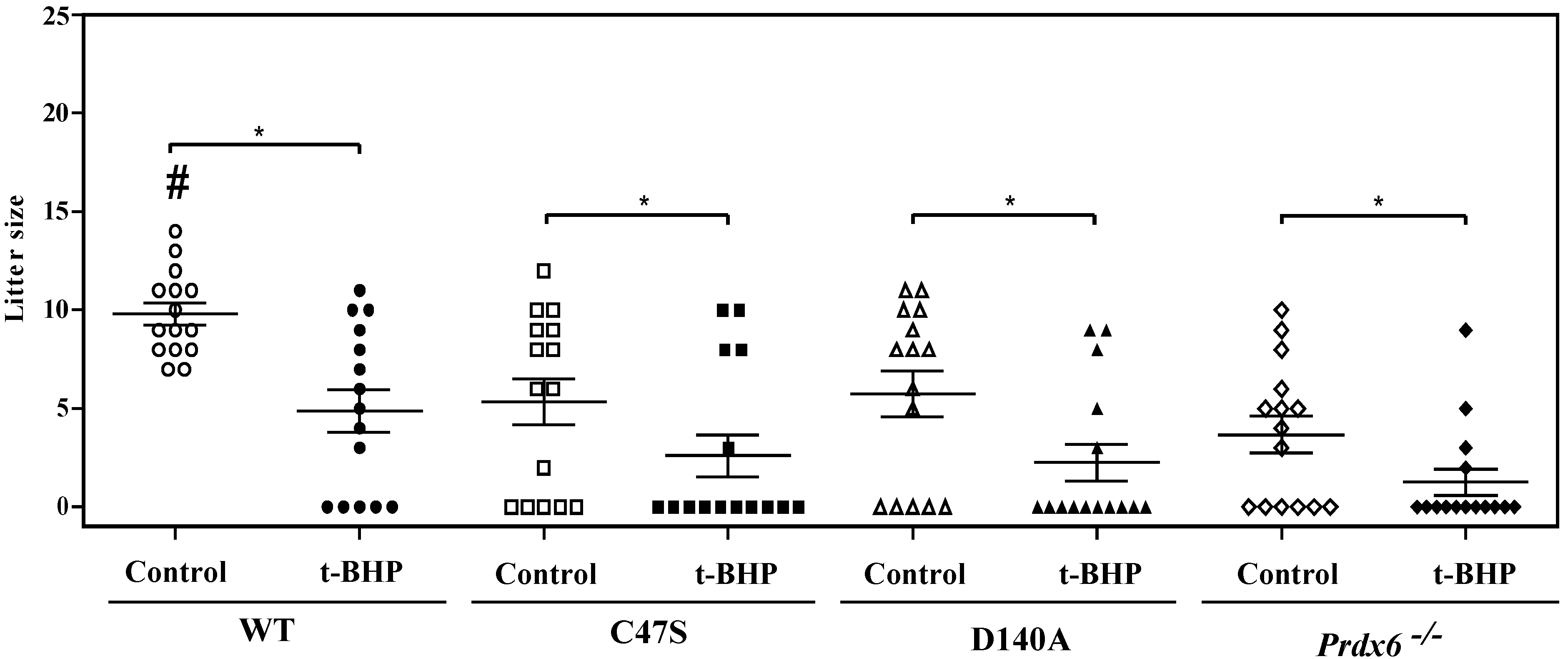 Antioxidants 11 00226 g001